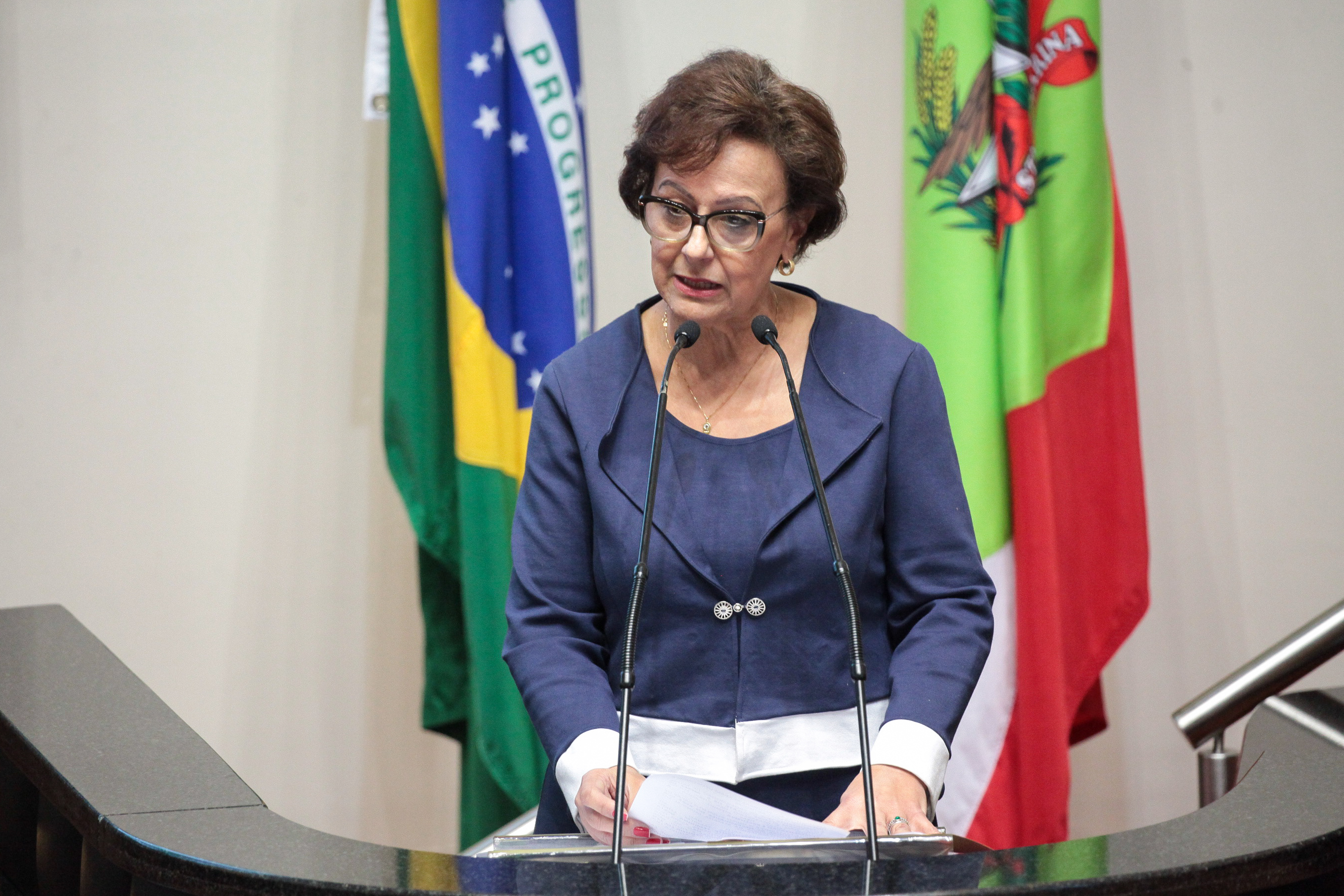 Deputada Dirce Heiderscheidt (PMDB). Sessão Ordinária.