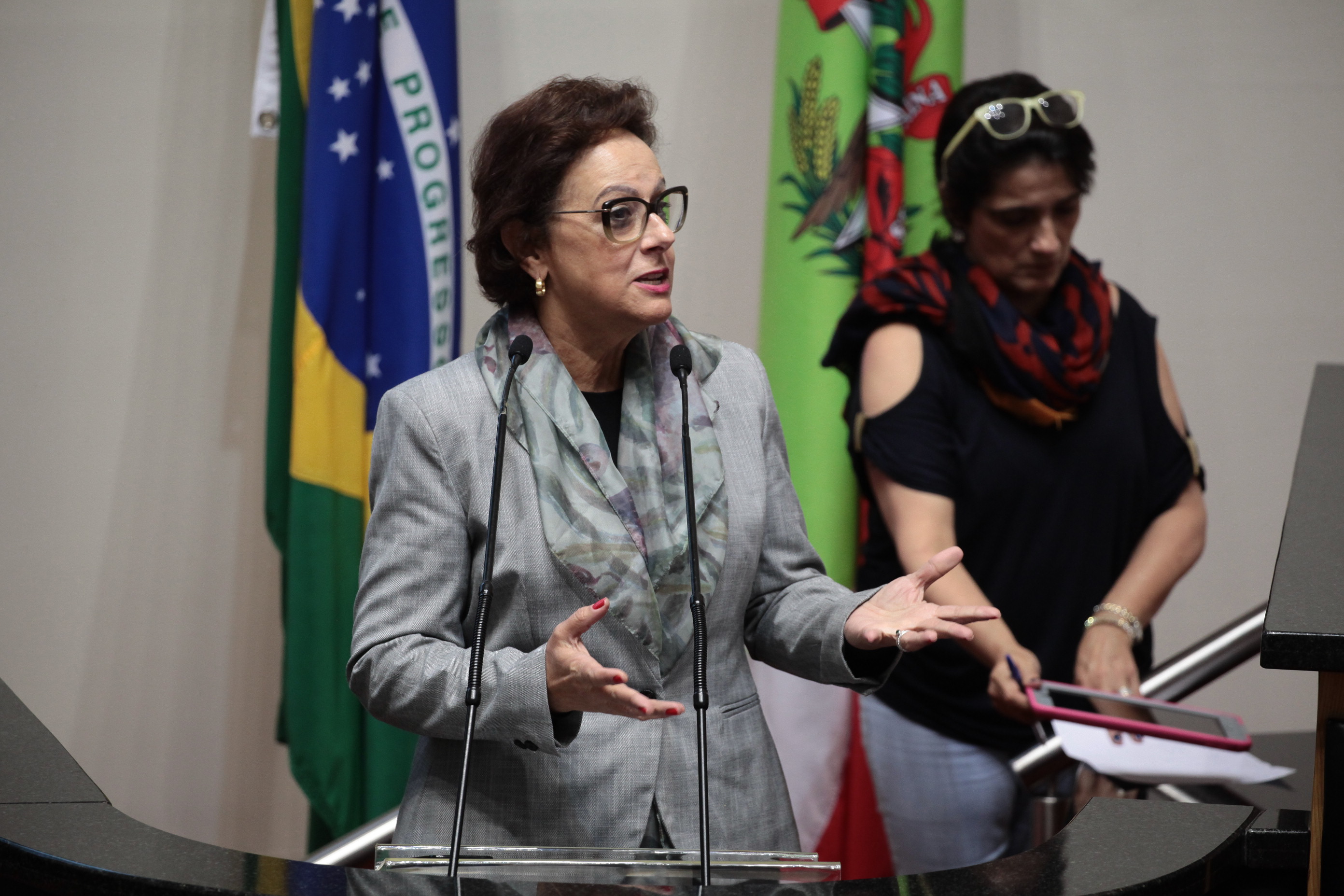 Sorteio das Escolas participantes do Parlamento Jovem. Deputada Dirce Heiderscheidt (PMDB)  - Foto: Miriam Zomer / Agência AL