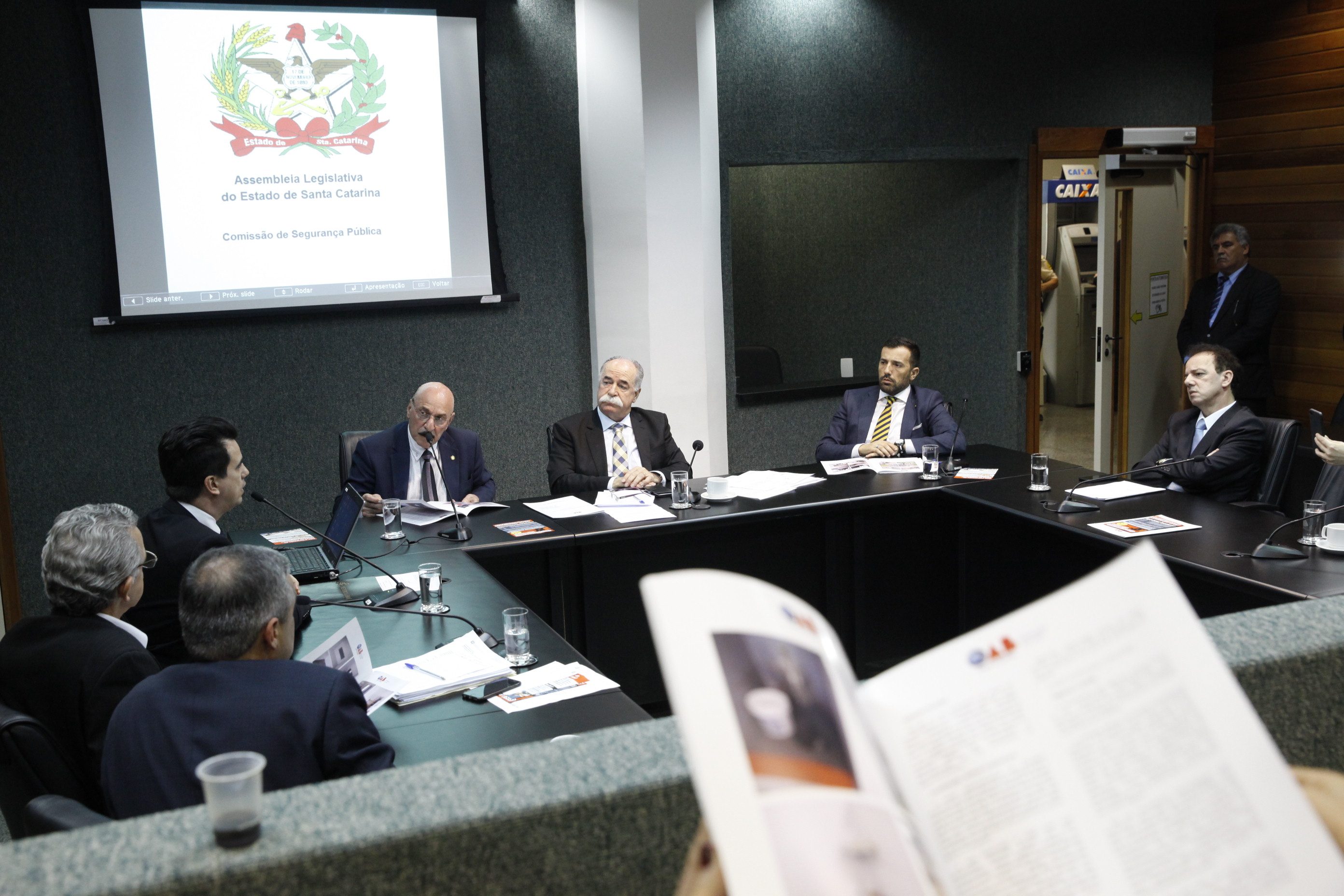 Reunião da Comissão de Segurança Pública.