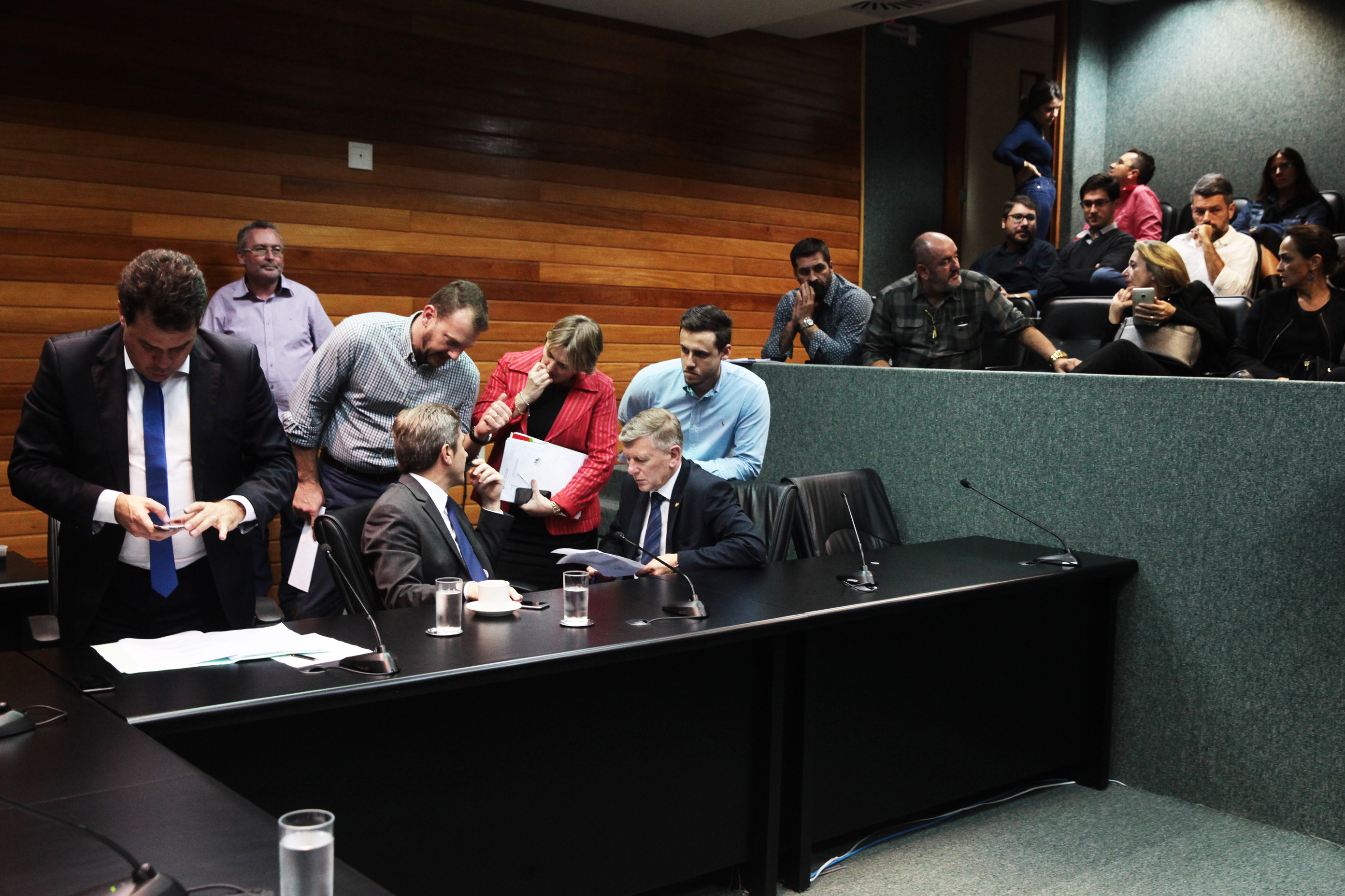 Reunião Extraordinária da Comissão de Constituição e Justiça.