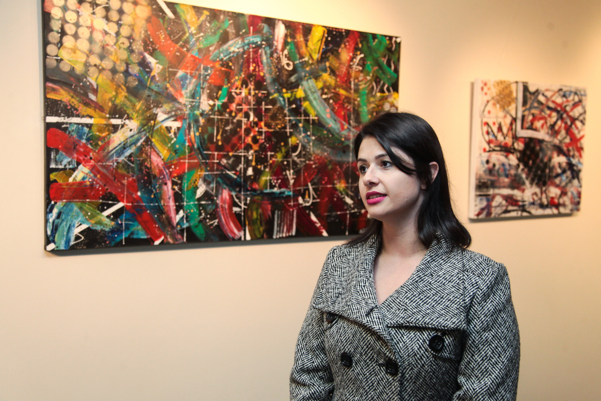 Carol Machado apresenta coleção de arte abstrata na Alesc