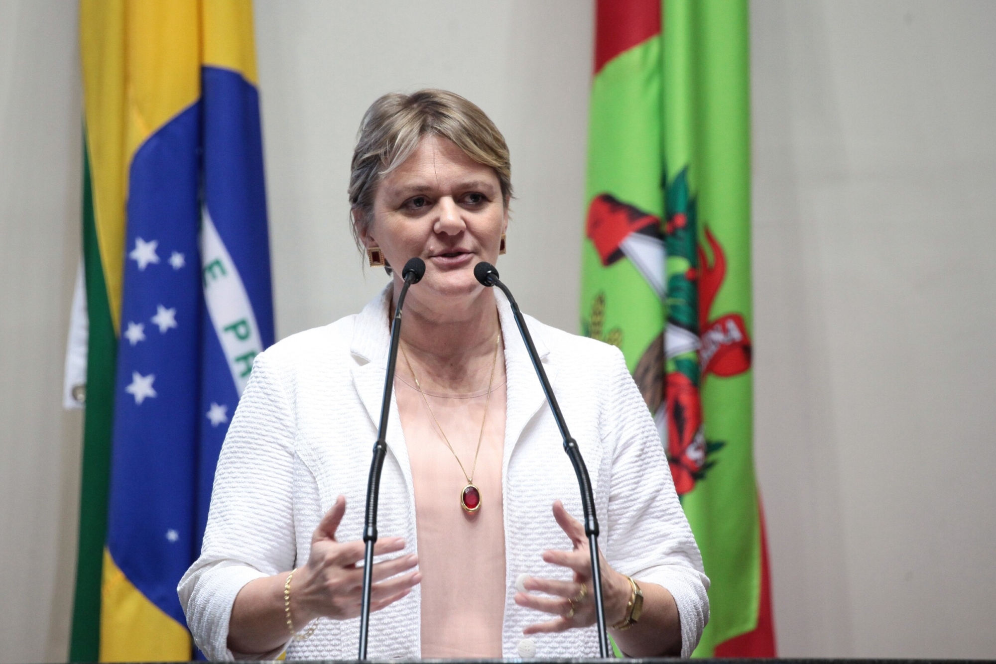 Deputada Luciane denuncia violência contra a mulher, no campo e na cidade