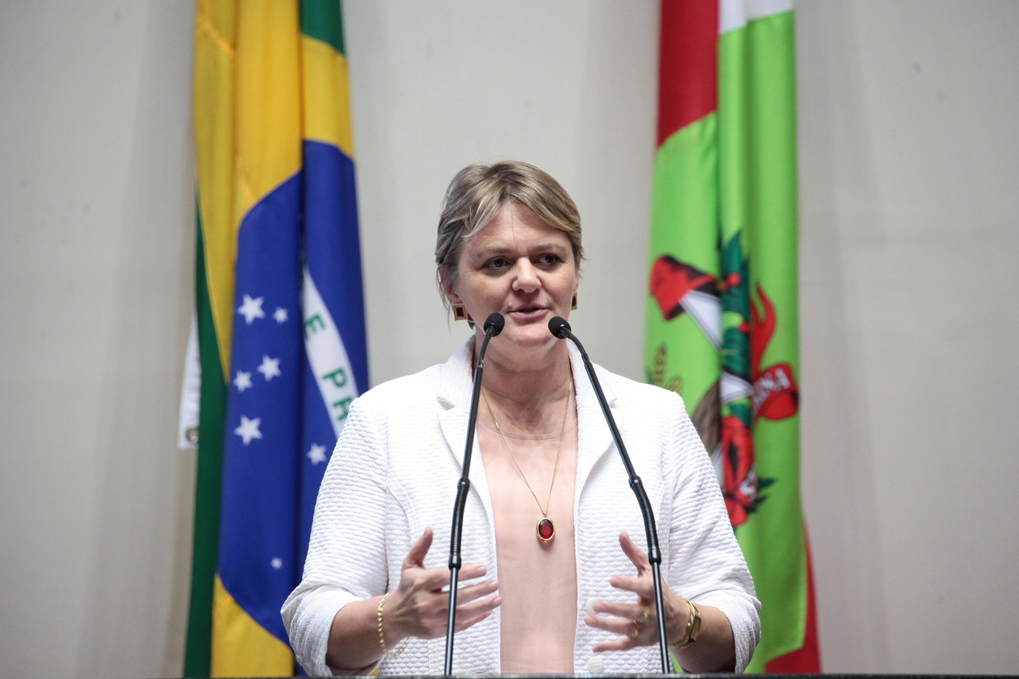 Luciane comemora envio do PL do Sistema Estadual de Cultura ao Legislativo