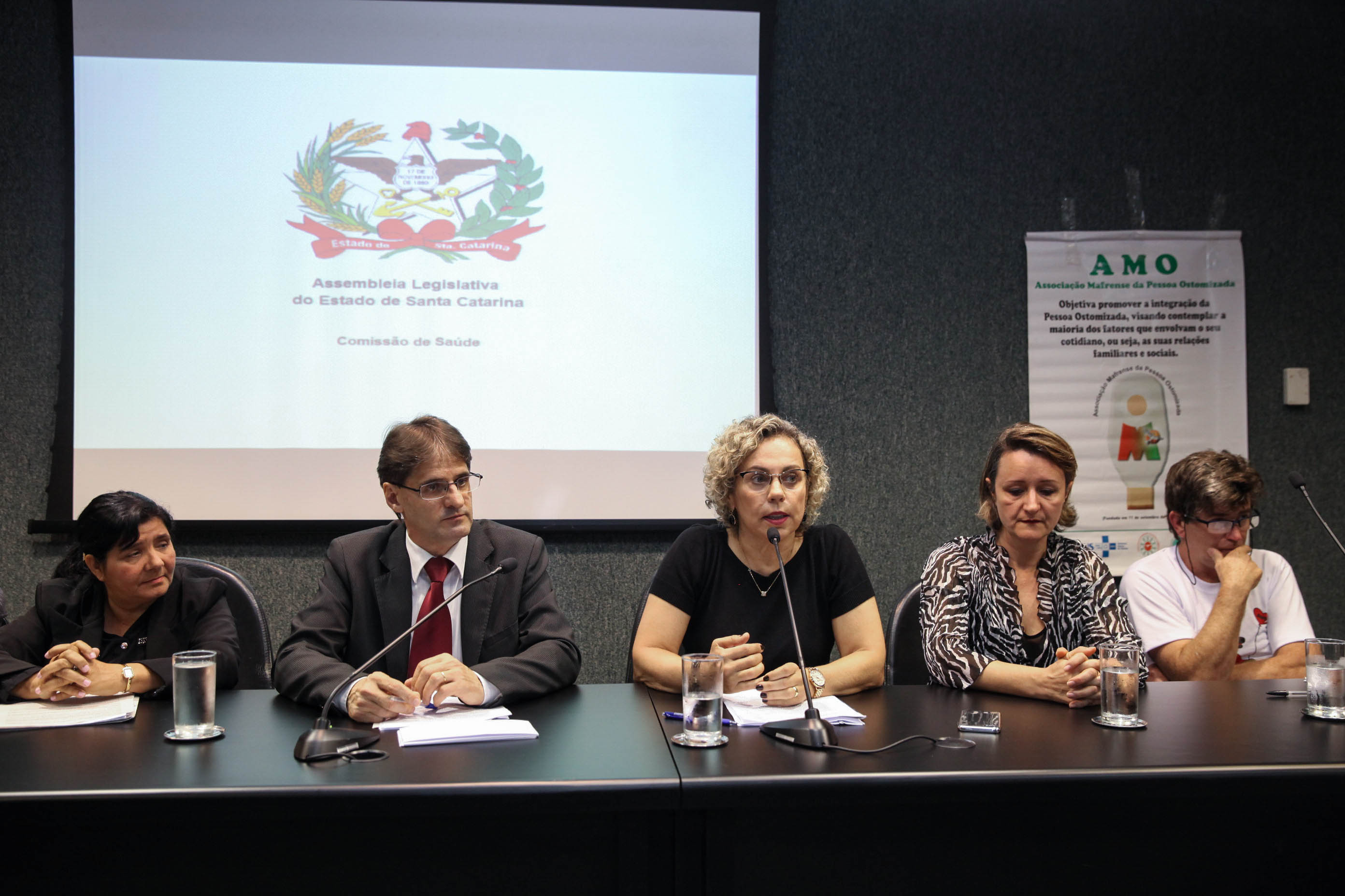 Audiência Pública Sobre a Situação dos Ostomizados em Santa Catarina.