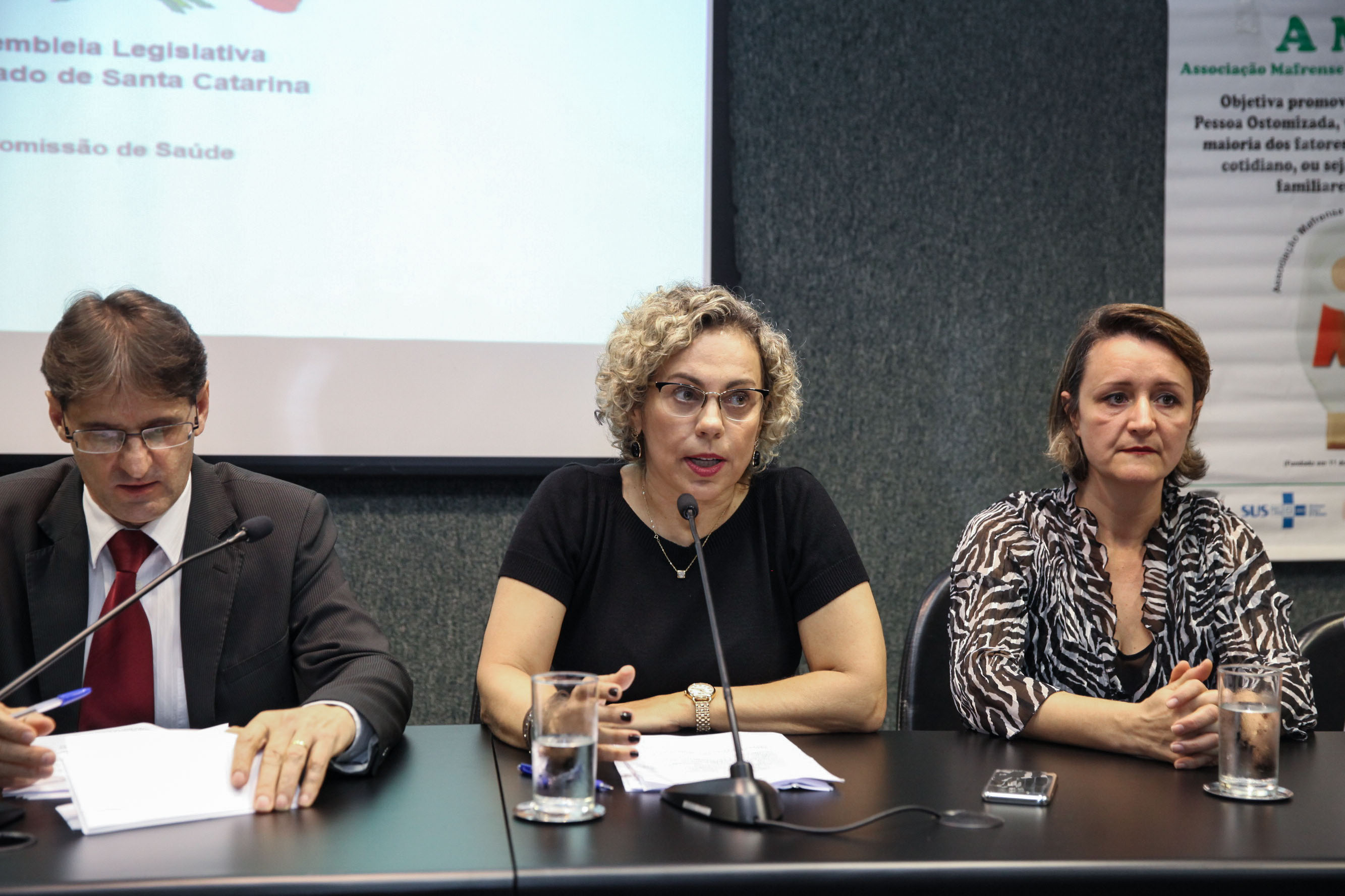 Audiência Pública Sobre a Situação dos Ostomizados em Santa Catarina.