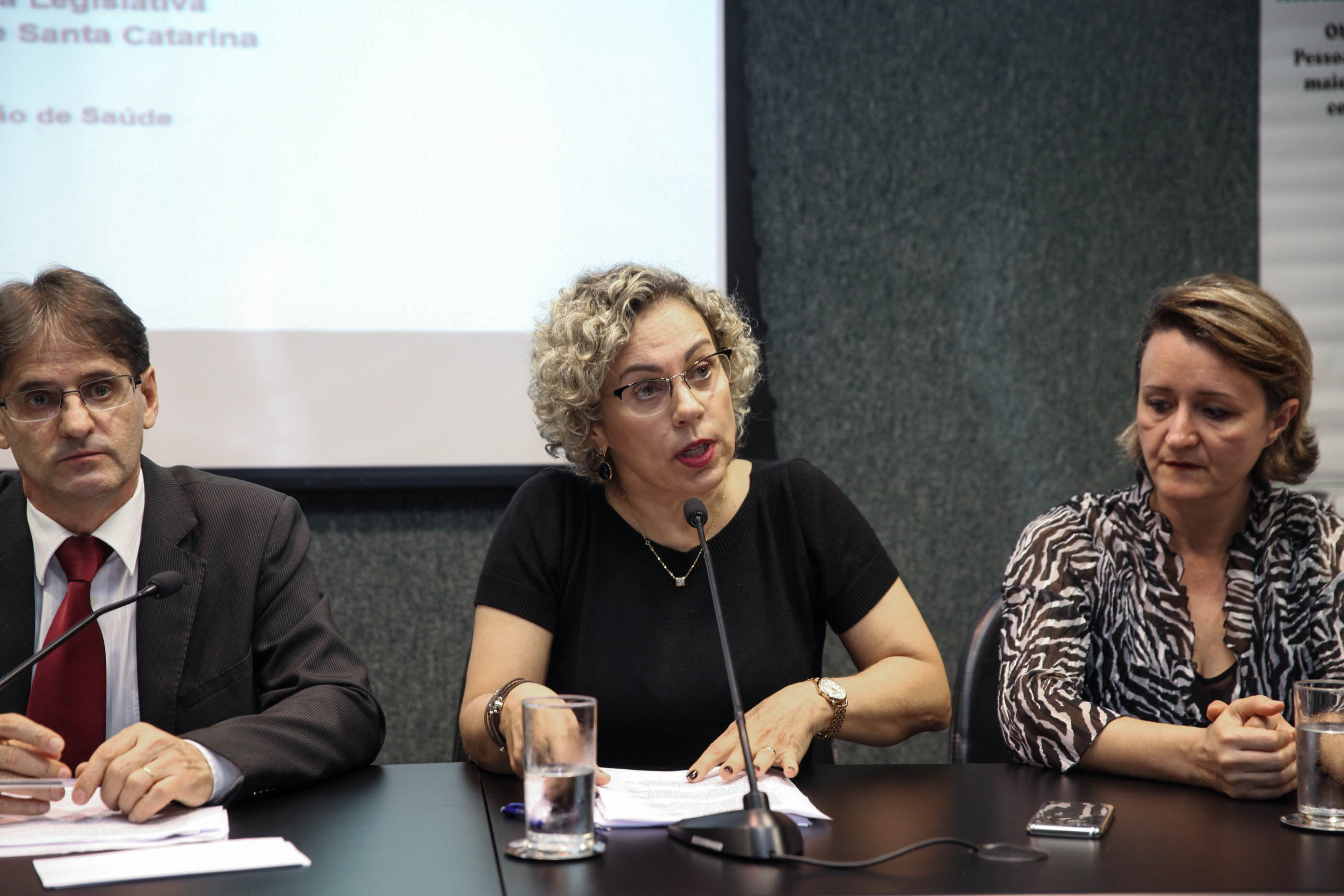 Audiência Pública Sobre a Situação dos Ostomizados em Santa Catarina.
