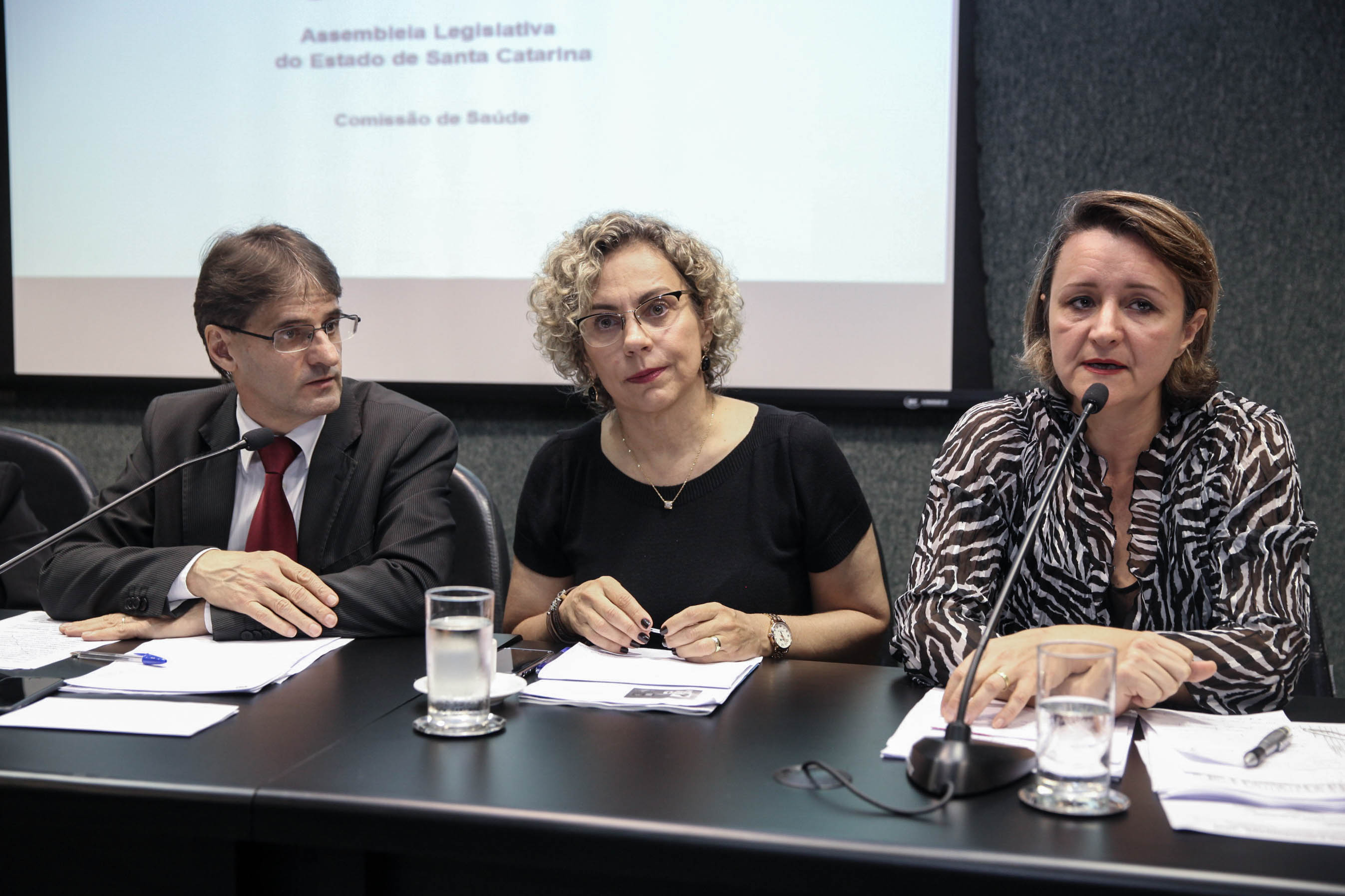 Audiência Pública Sobre a Situação dos Ostomizados em Santa Catarina.