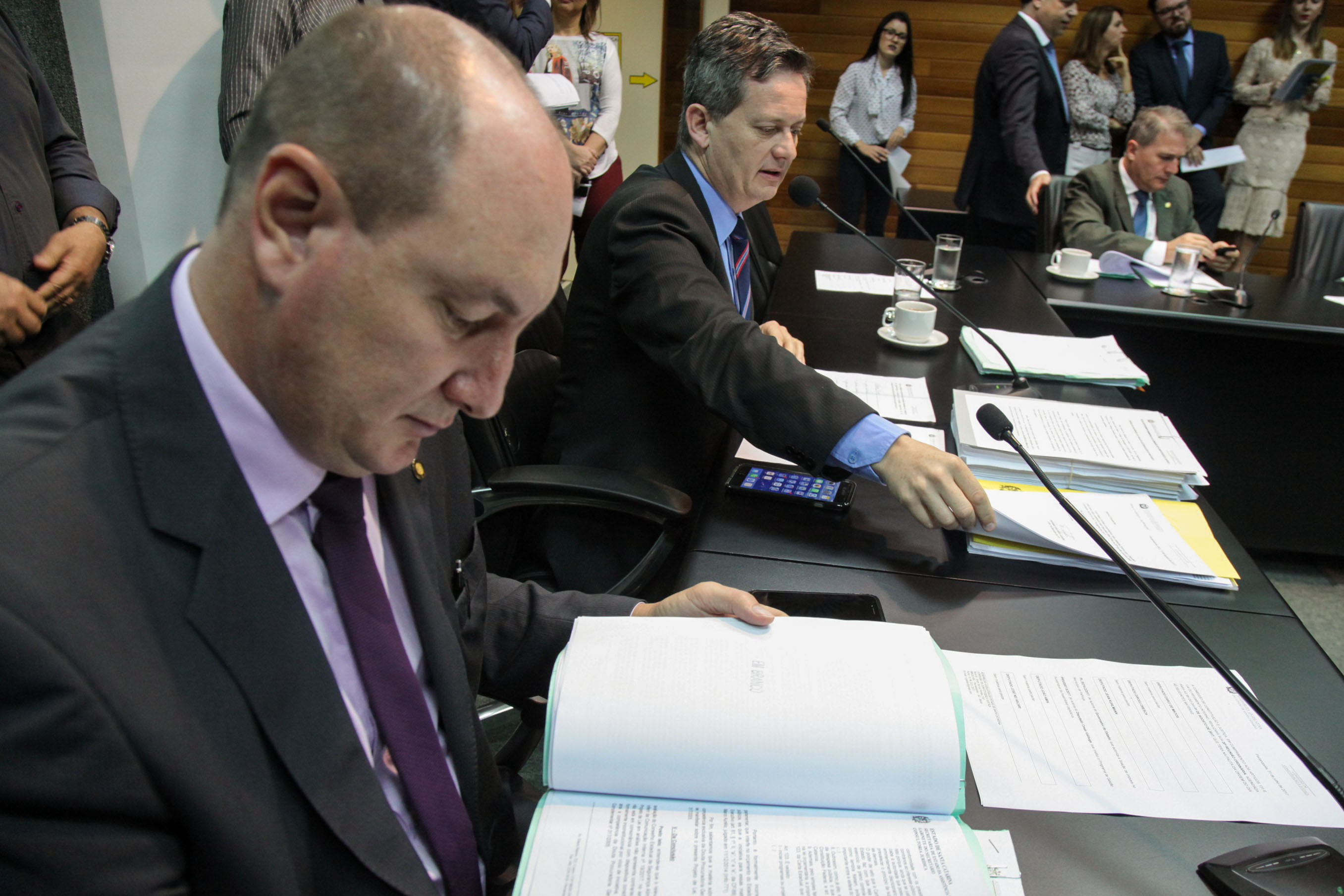 Comissão de Constituição e Justiça.