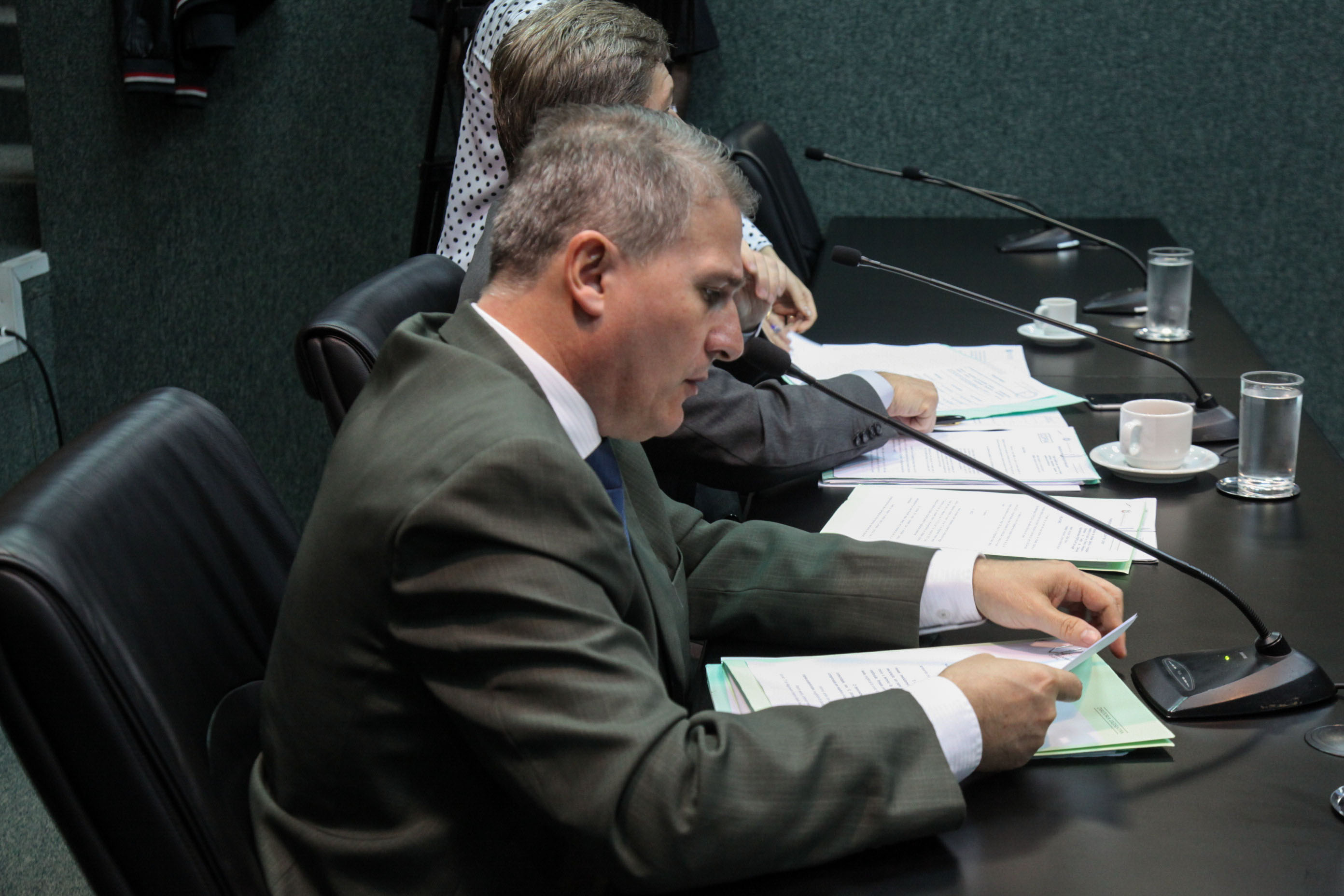 Comissão de Constituição e Justiça.