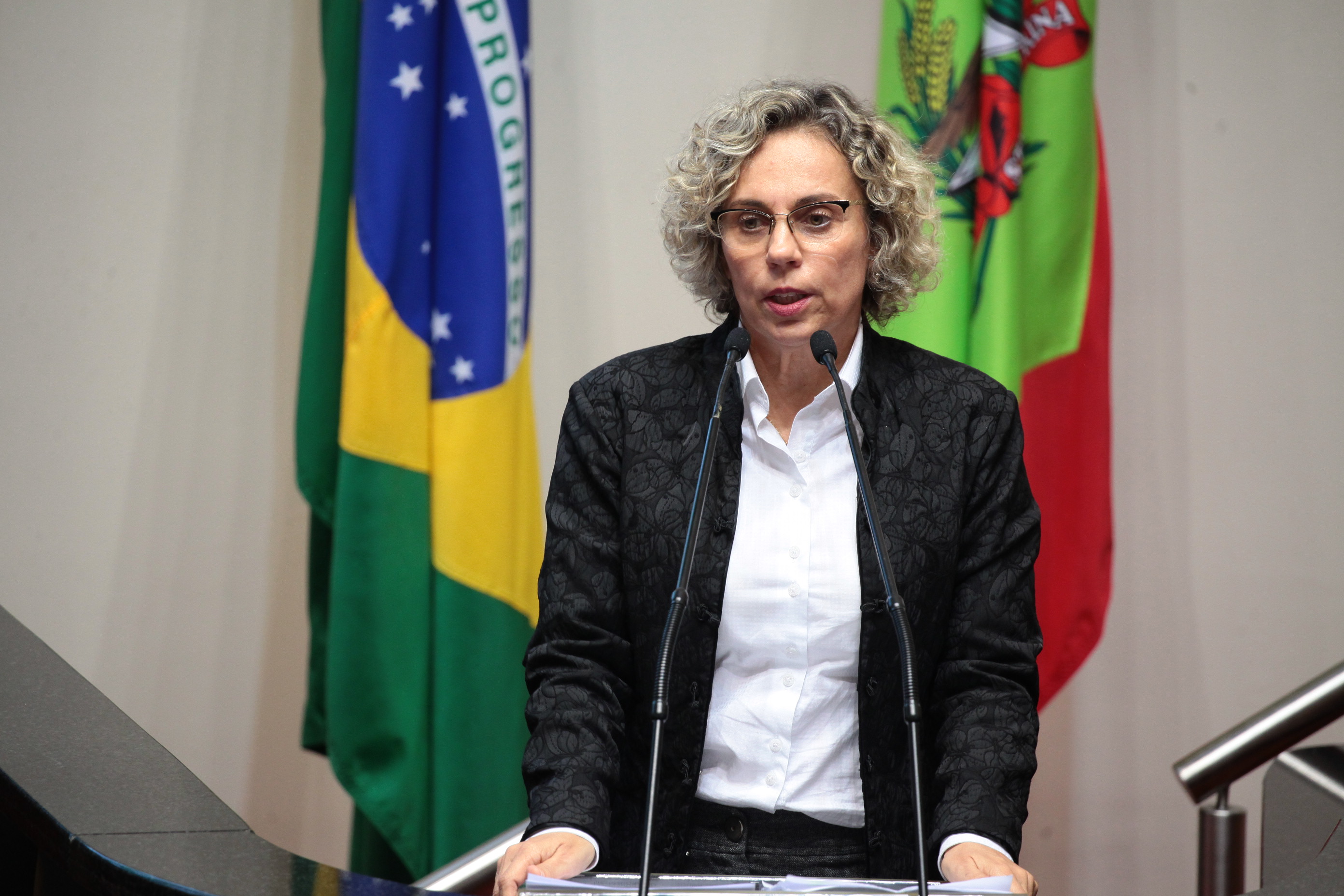 Deputada Ana Paula Lima (PT). Sessão Ordinária.