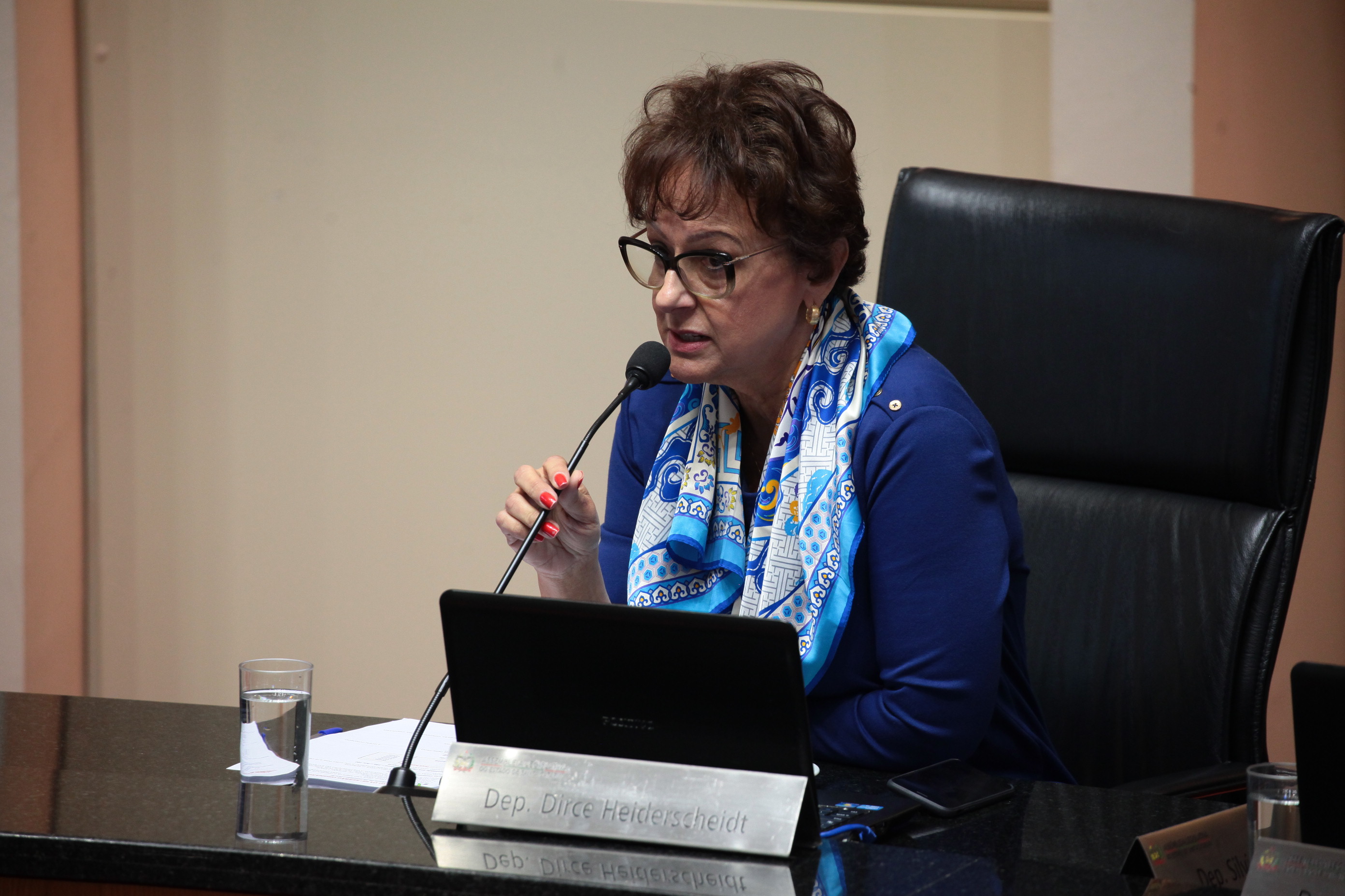 Deputada Dirce Heiderscheidt (PMDB). Sessão Ordinária.
