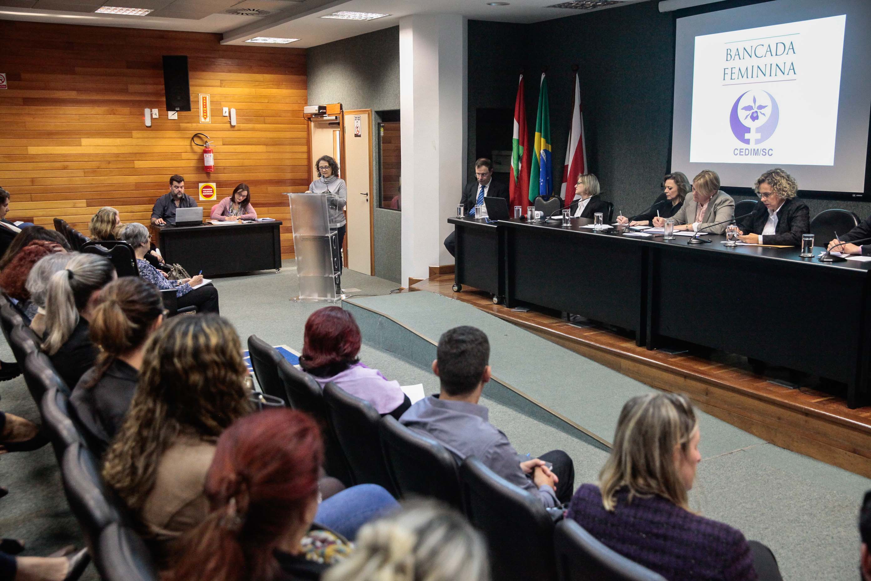 Audiência Pública Pacto Maria da Penha.