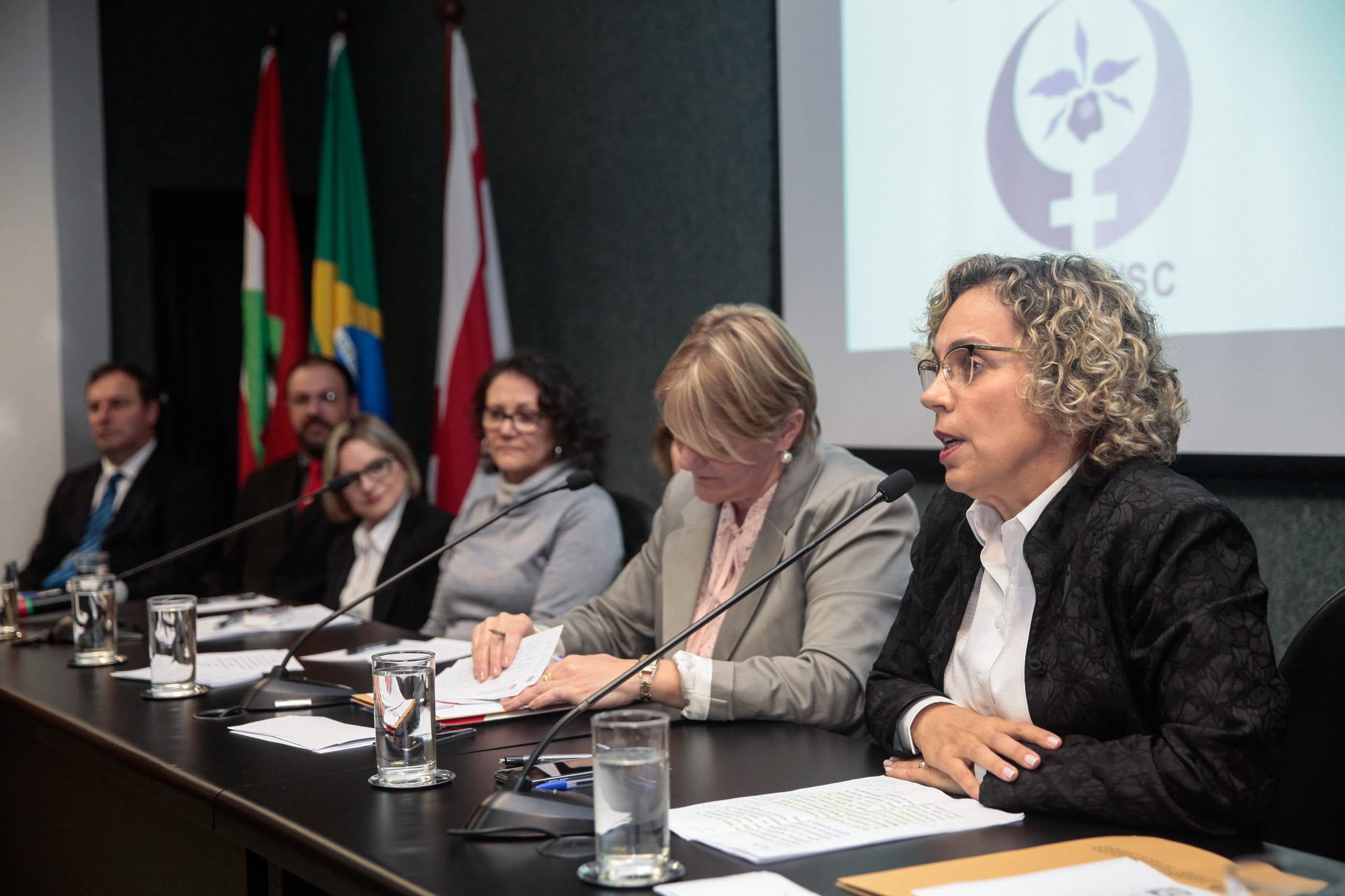 Audiência Pública Pacto Maria da Penha.