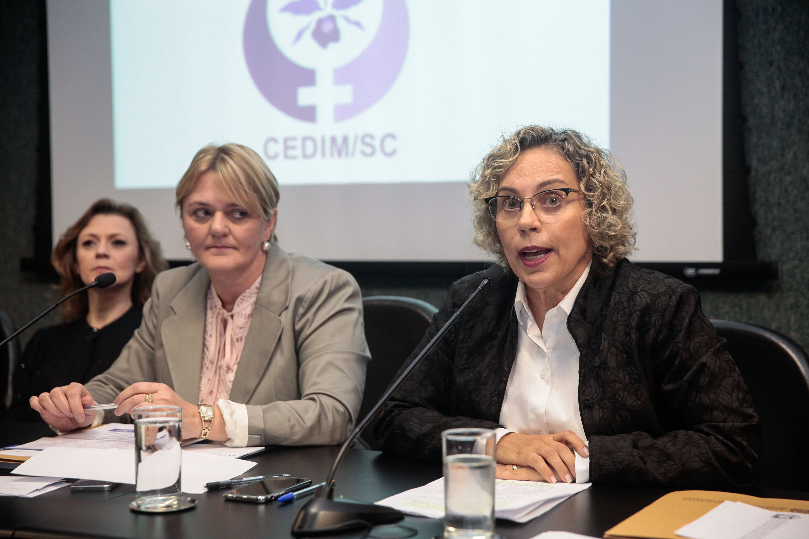 Audiência Pública Pacto Maria da Penha.
