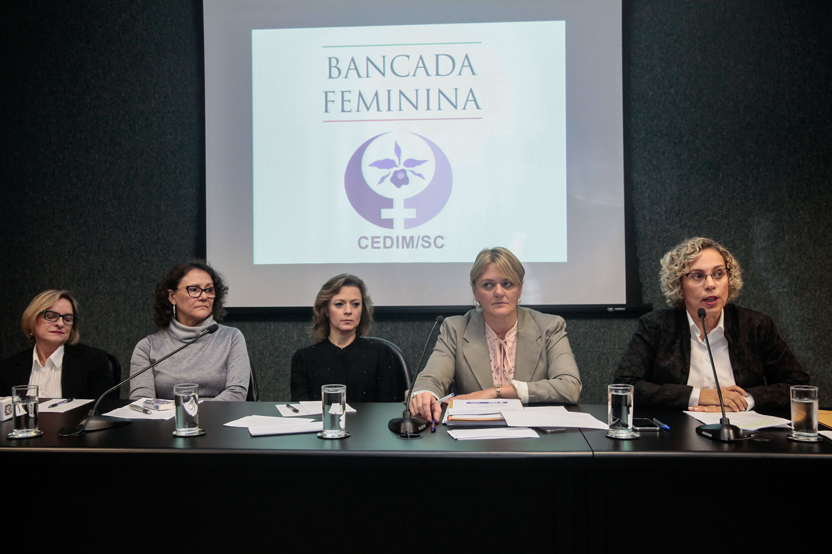 Audiência Pública Pacto Maria da Penha.