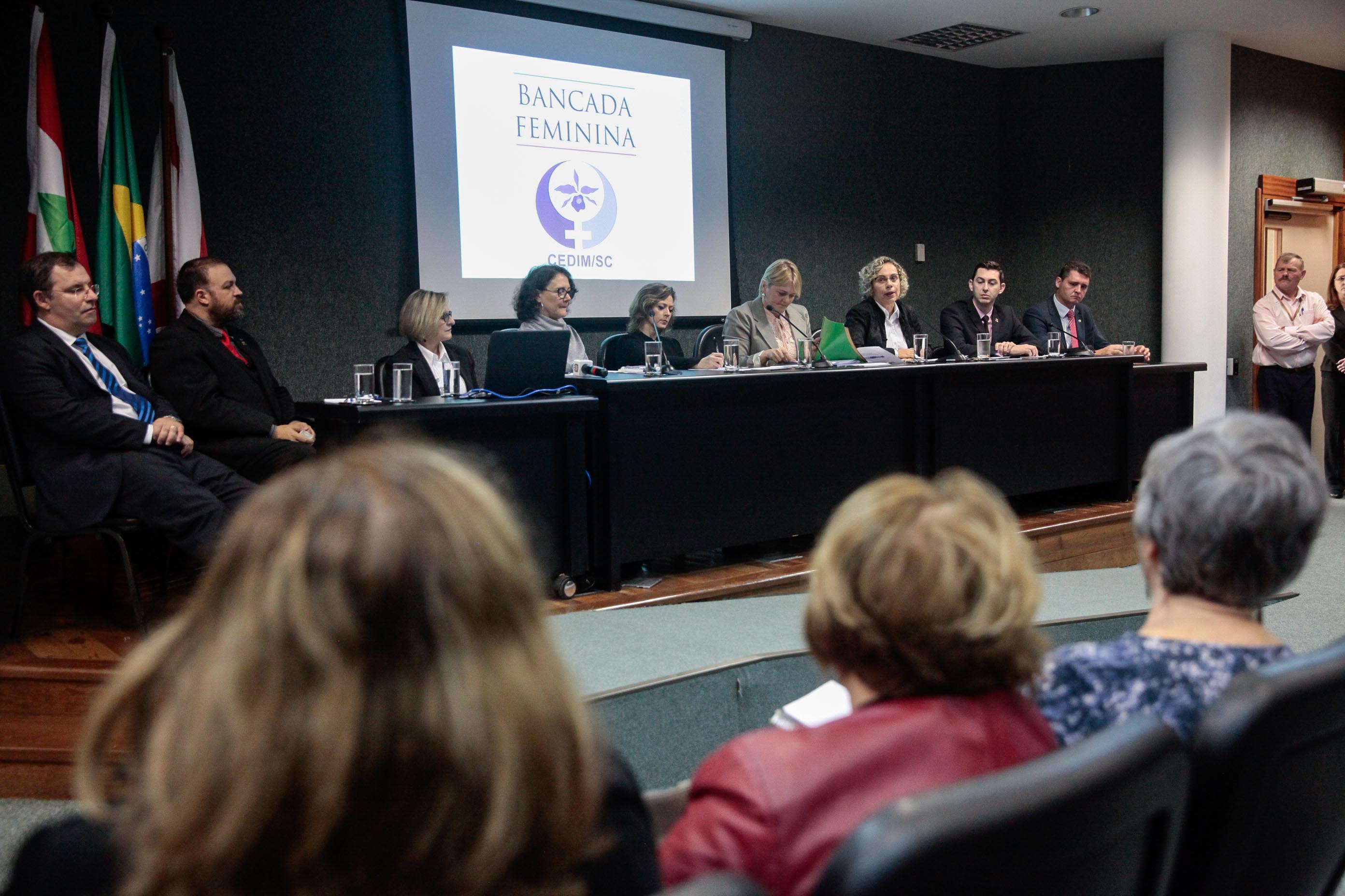 Audiência Pública Pacto Maria da Penha.