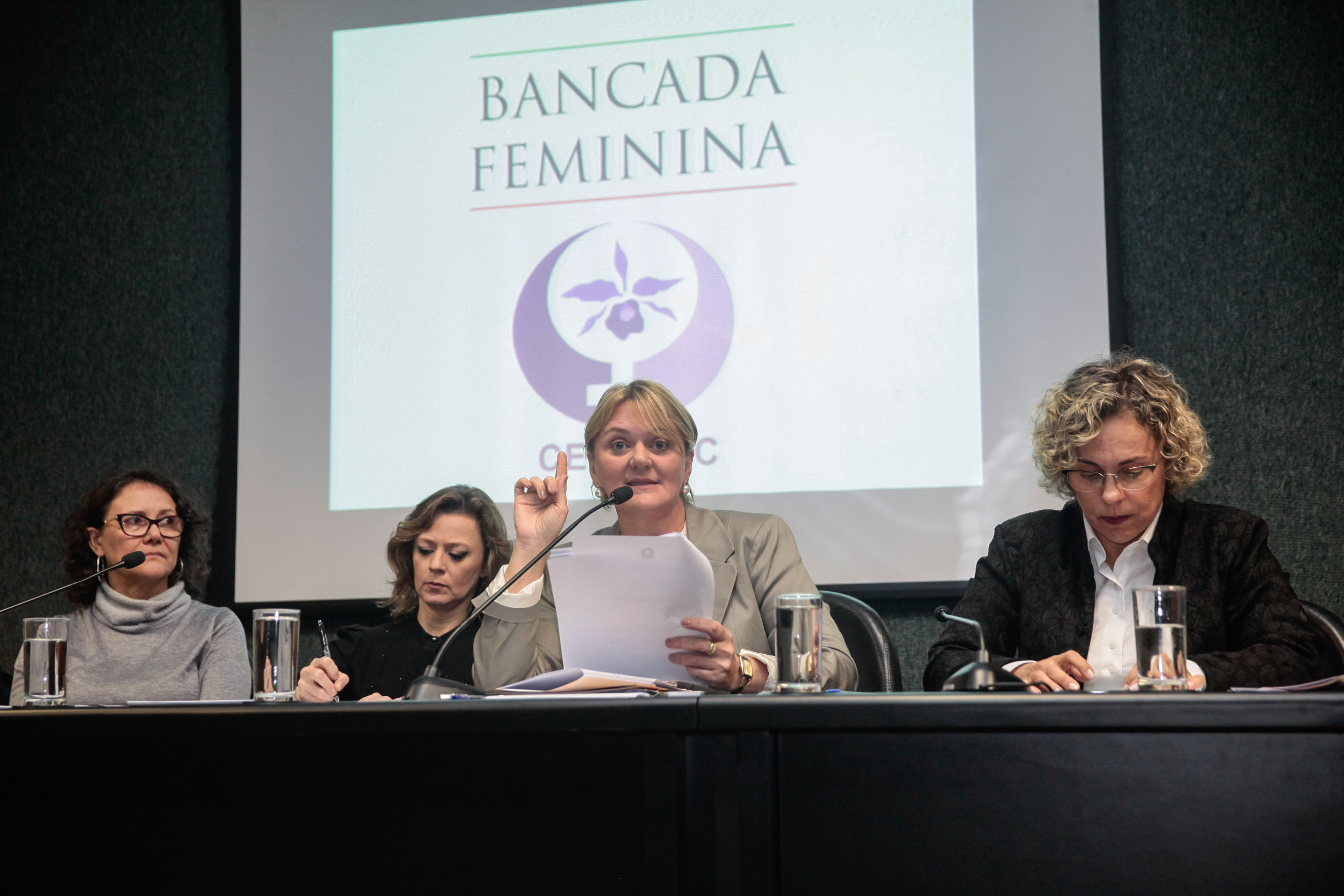 Audiência Pública Pacto Maria da Penha.