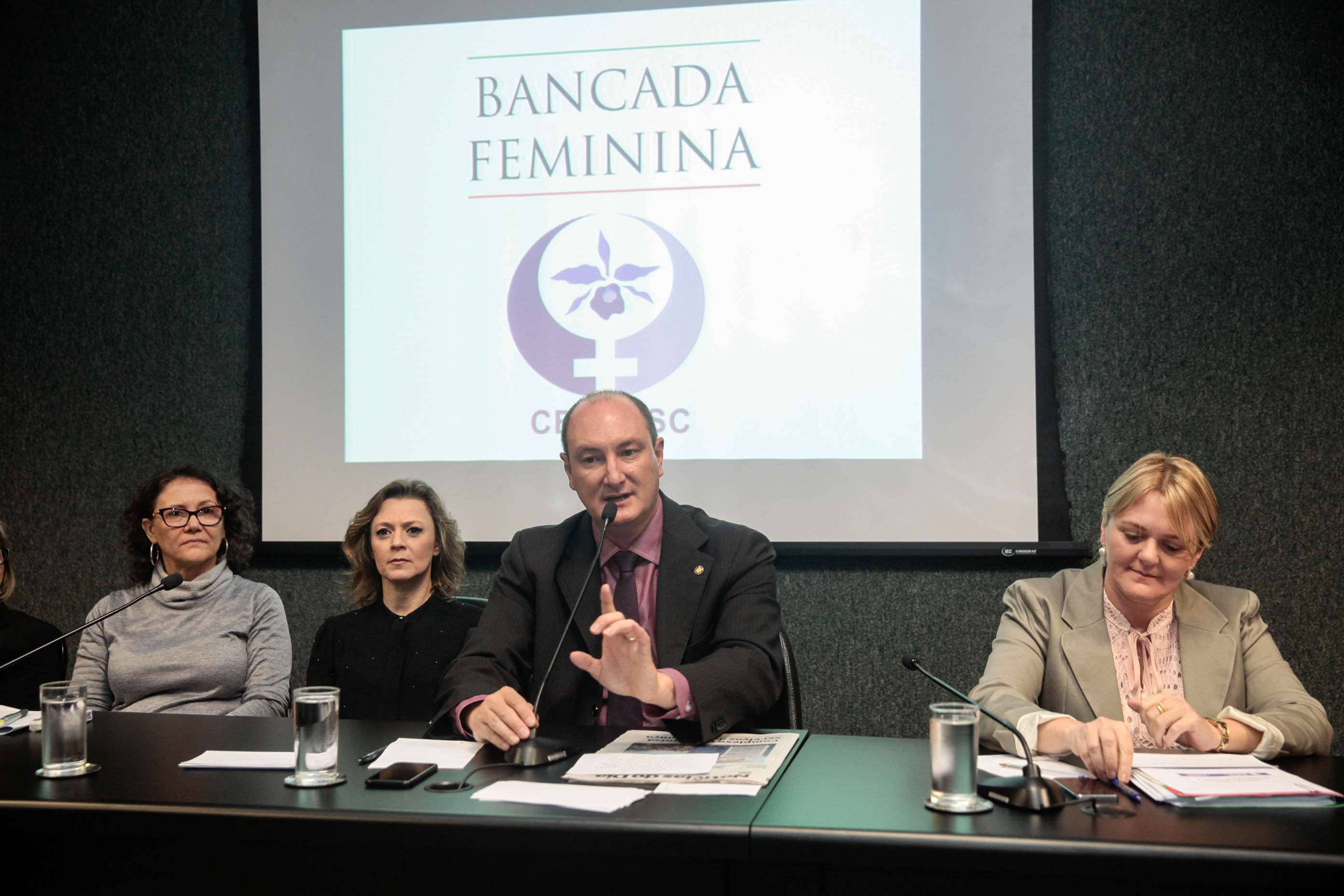 Audiência Pública Pacto Maria da Penha.