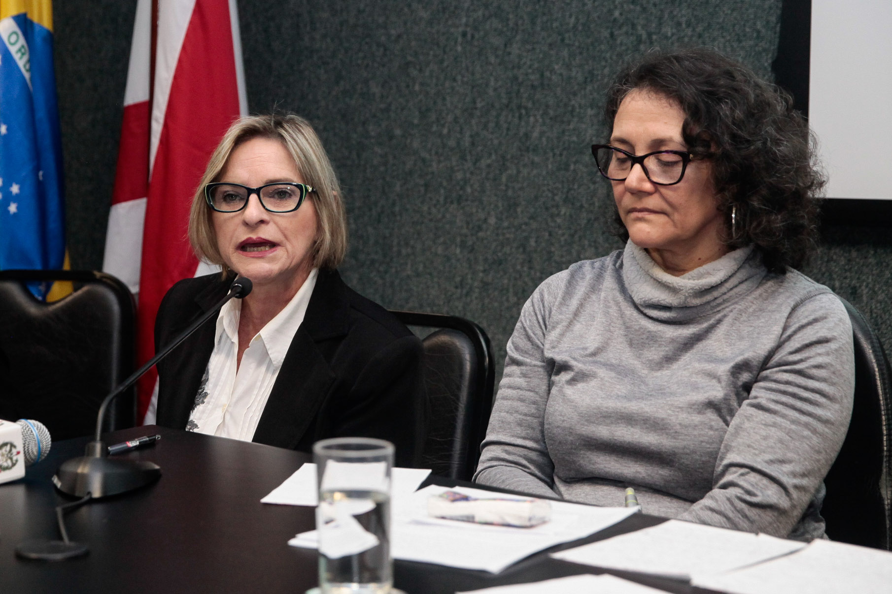 Audiência Pública Pacto Maria da Penha.