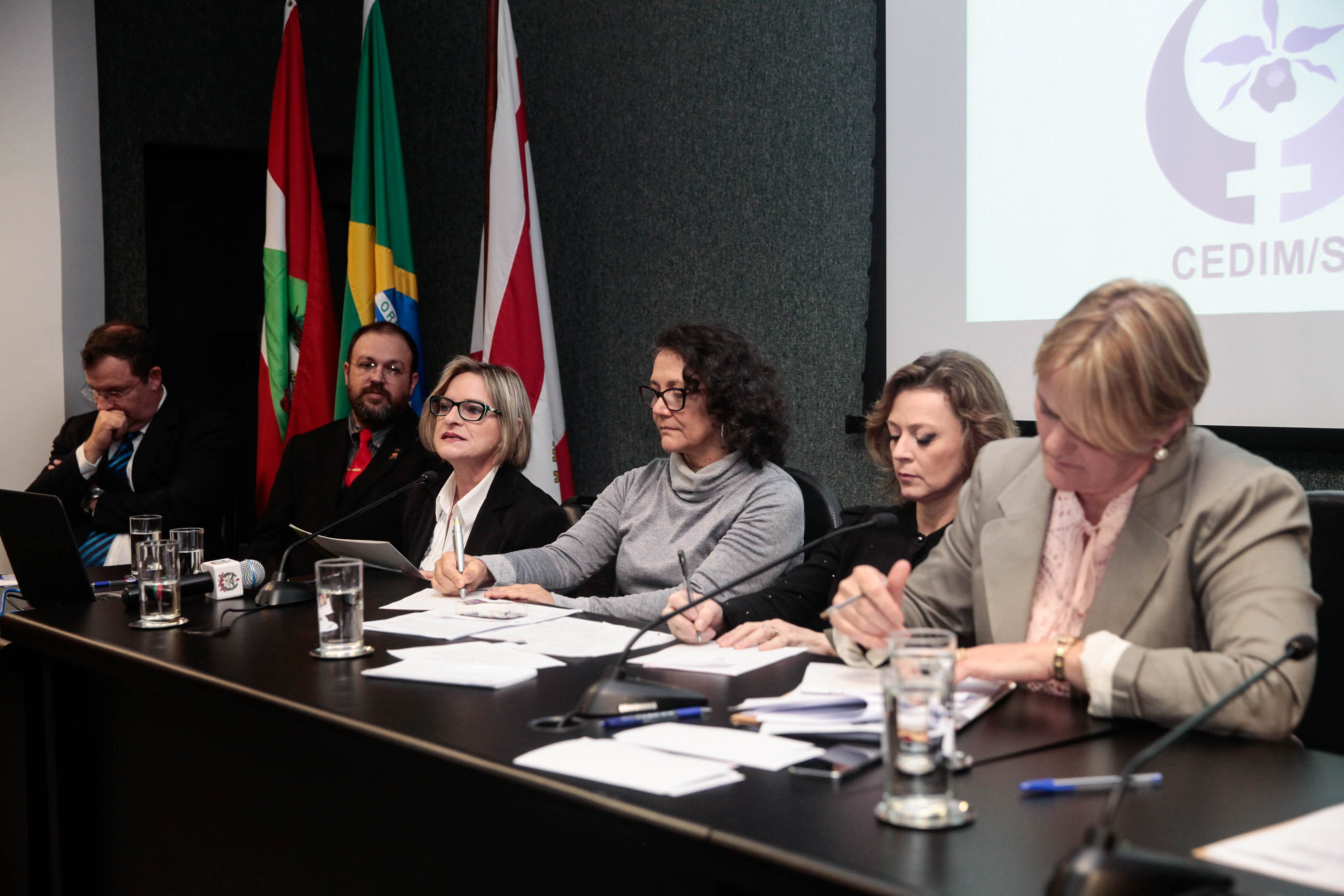 Audiência Pública Pacto Maria da Penha.