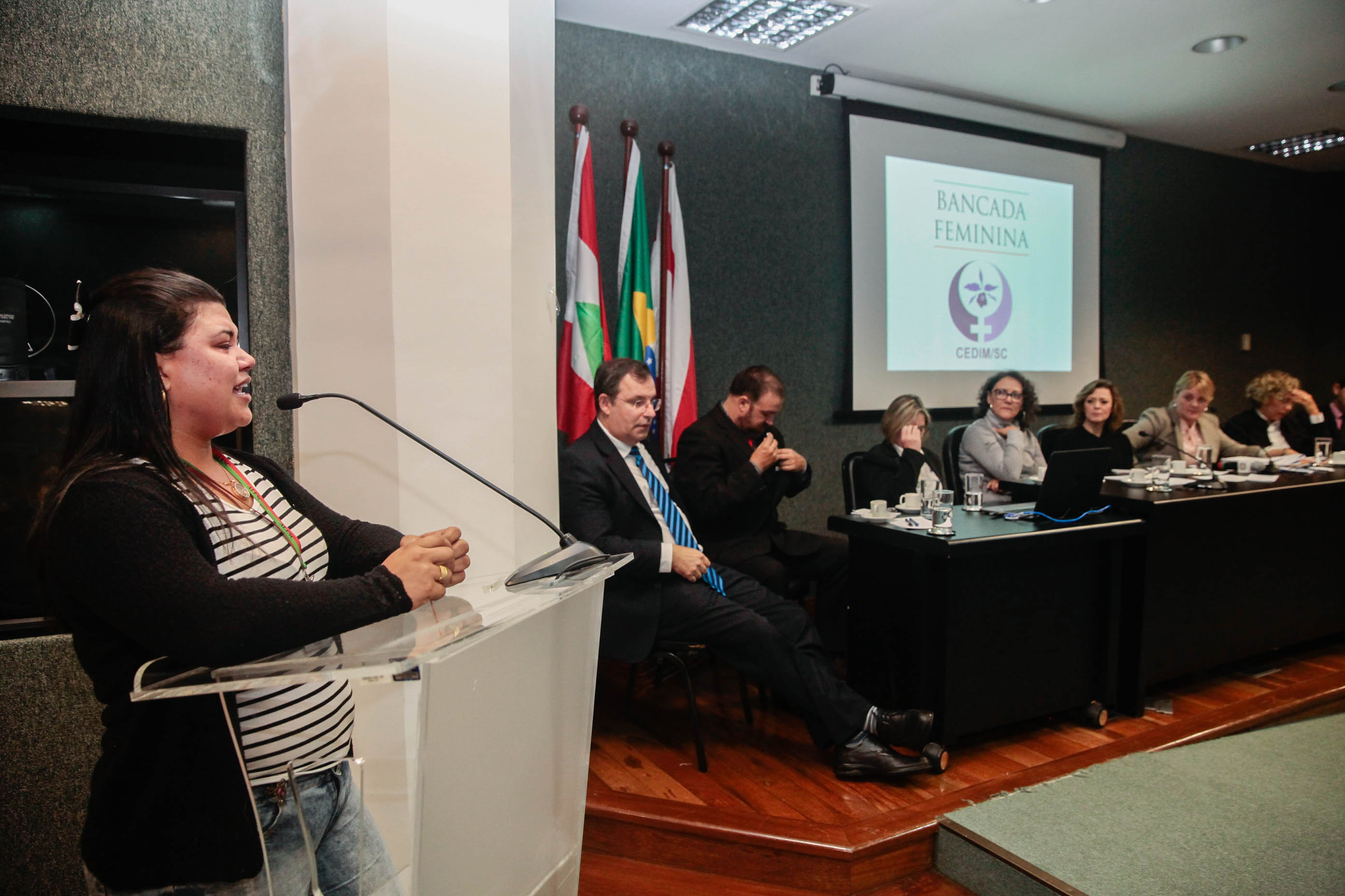 Audiência Pública Pacto Maria da Penha.