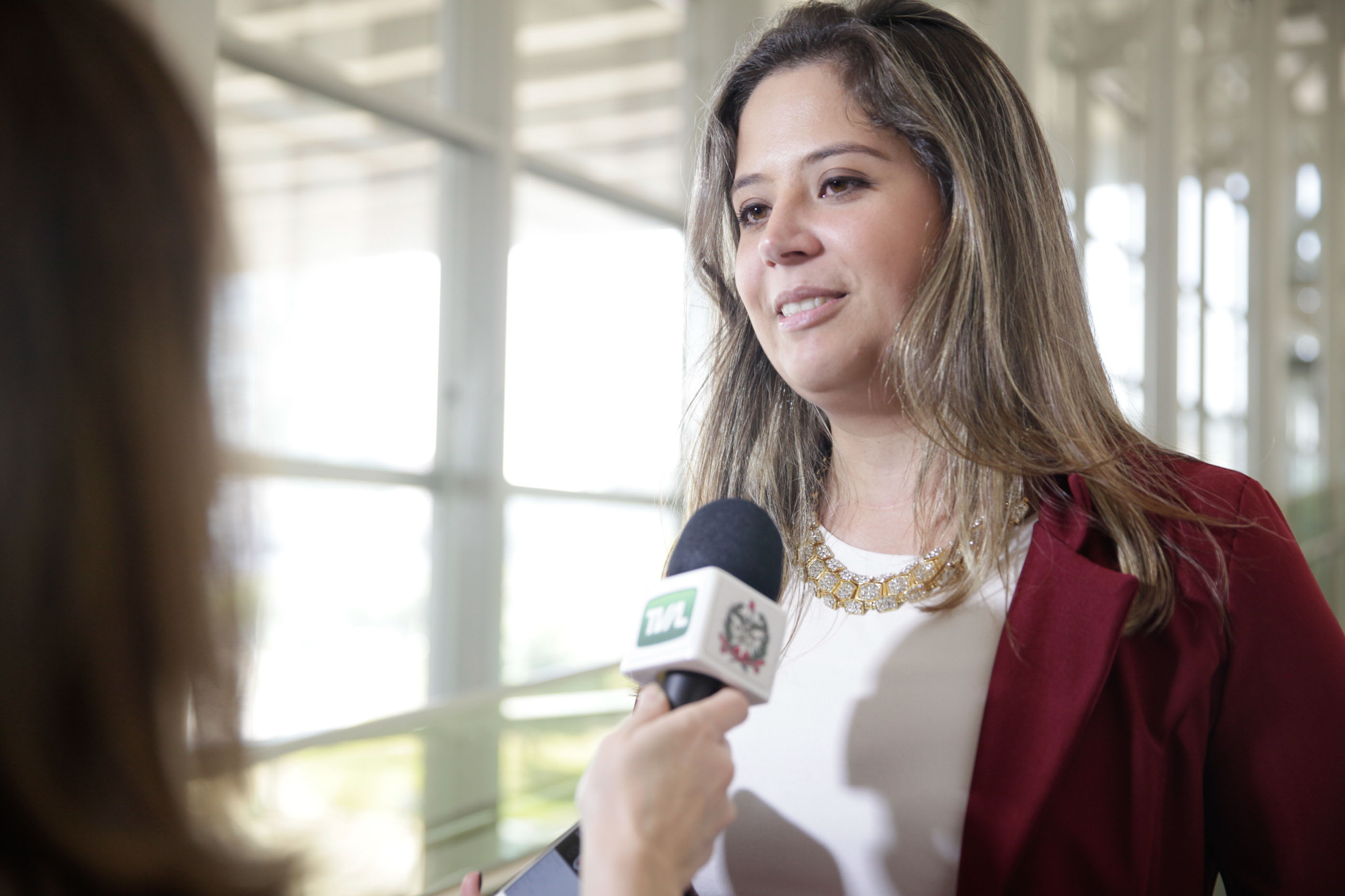 Alanna Kern. 3° Congresso Nacional de Parto Humanizado.