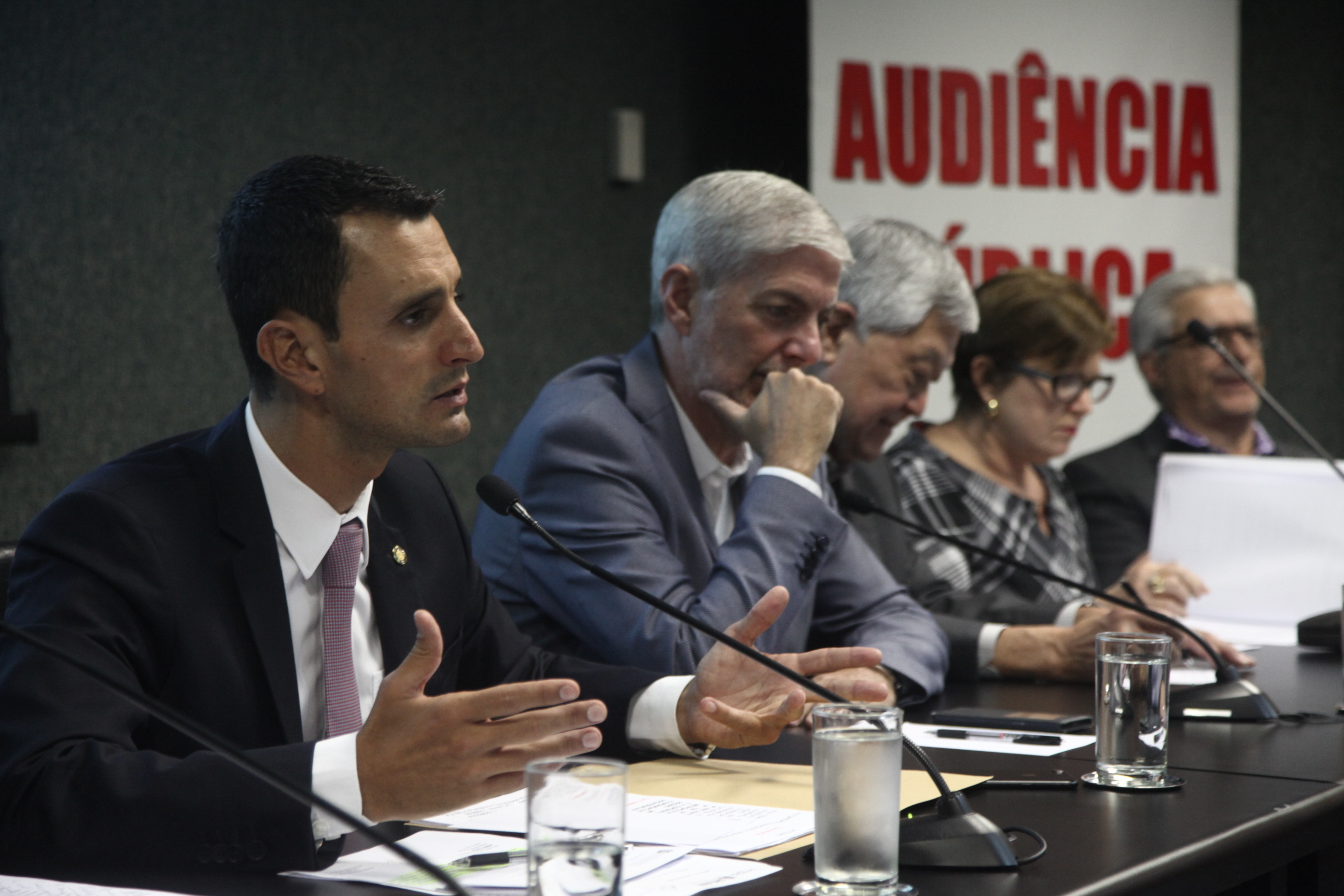 Audiência Pública Sobre PL que Altera a Lei da Suderf
