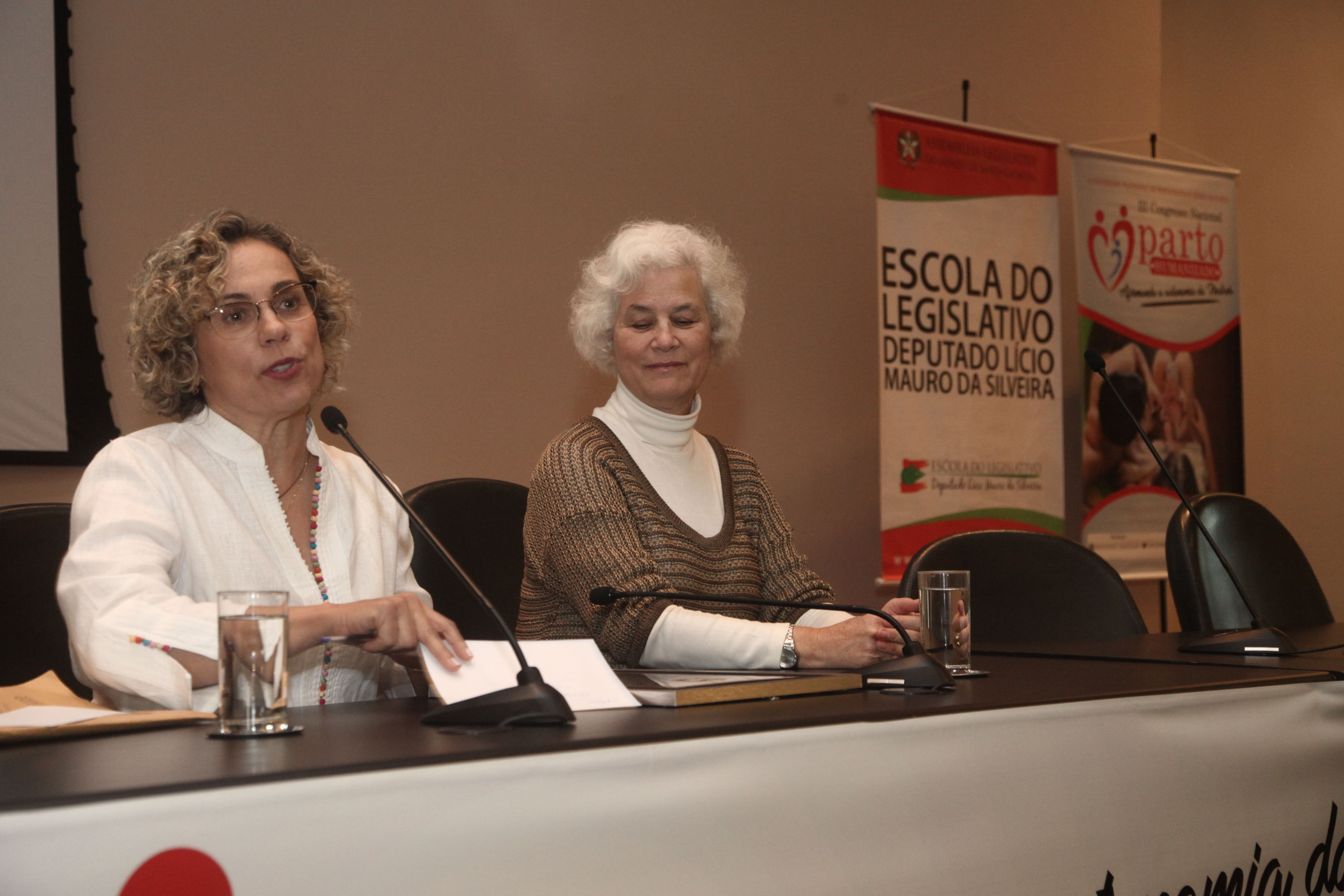 3° Congresso Nacional de Parto Humanizado.