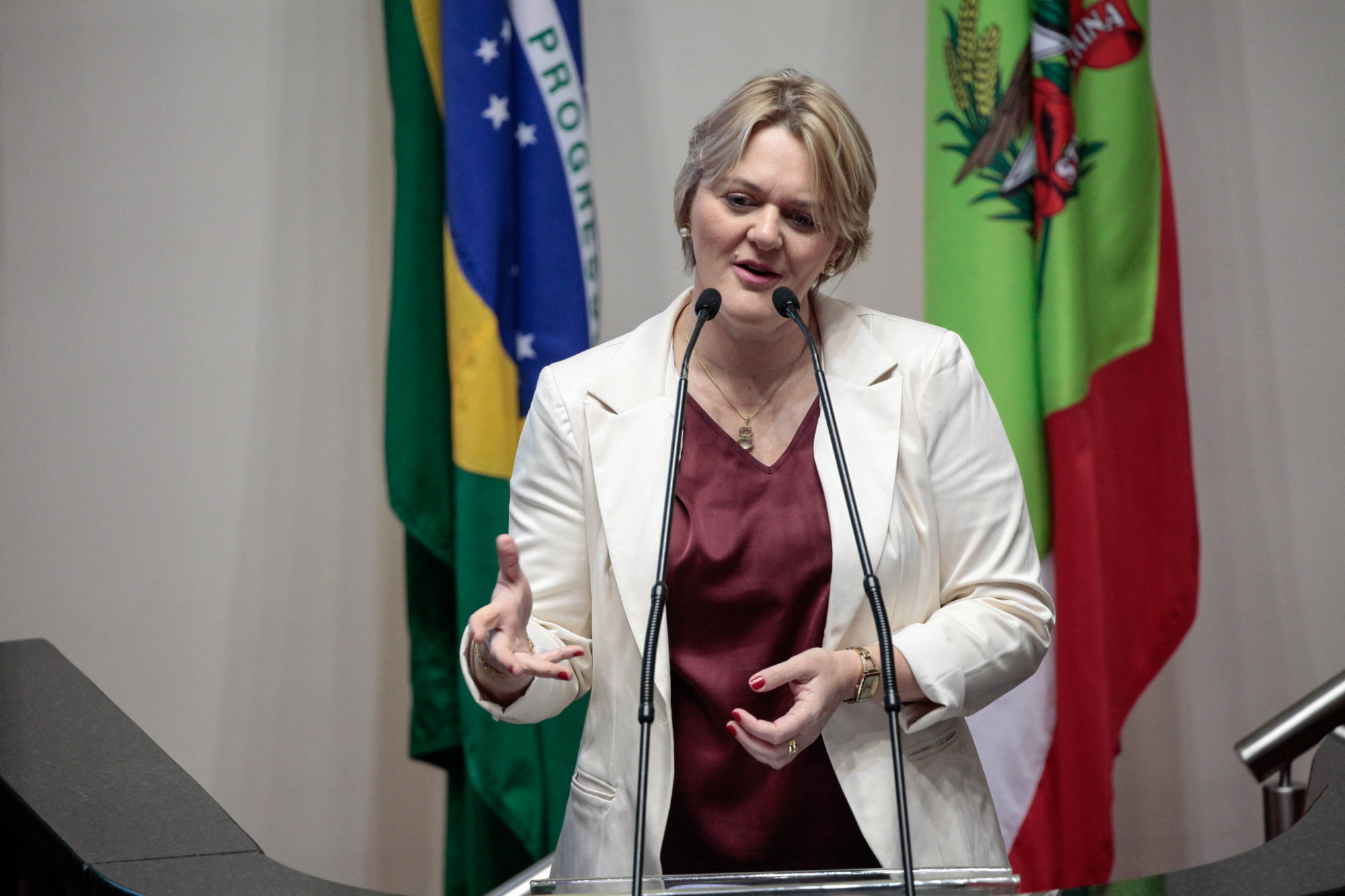 Defensoria e Bancada Feminina dialogam por acordo de cooperação em casos de violência contra mulher