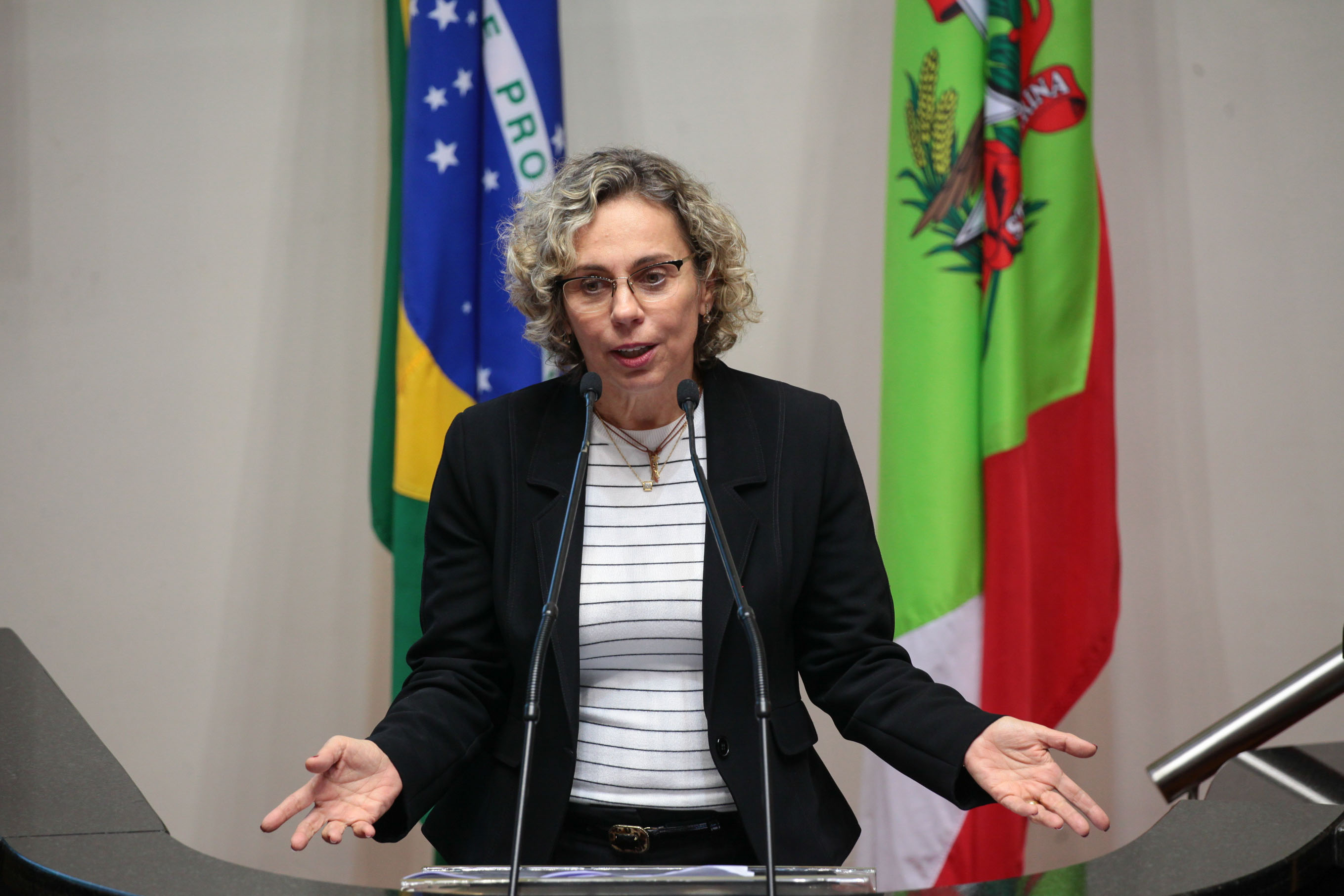 Sessão Ordinária. Deputada Ana Paula Lima (PT)