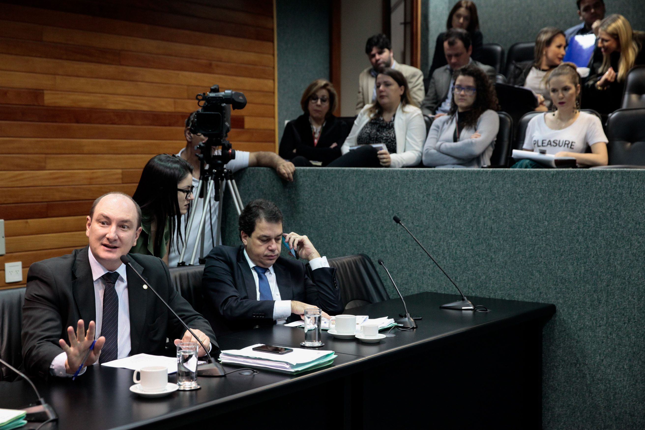 Comissão de Constituição e Justiça.
