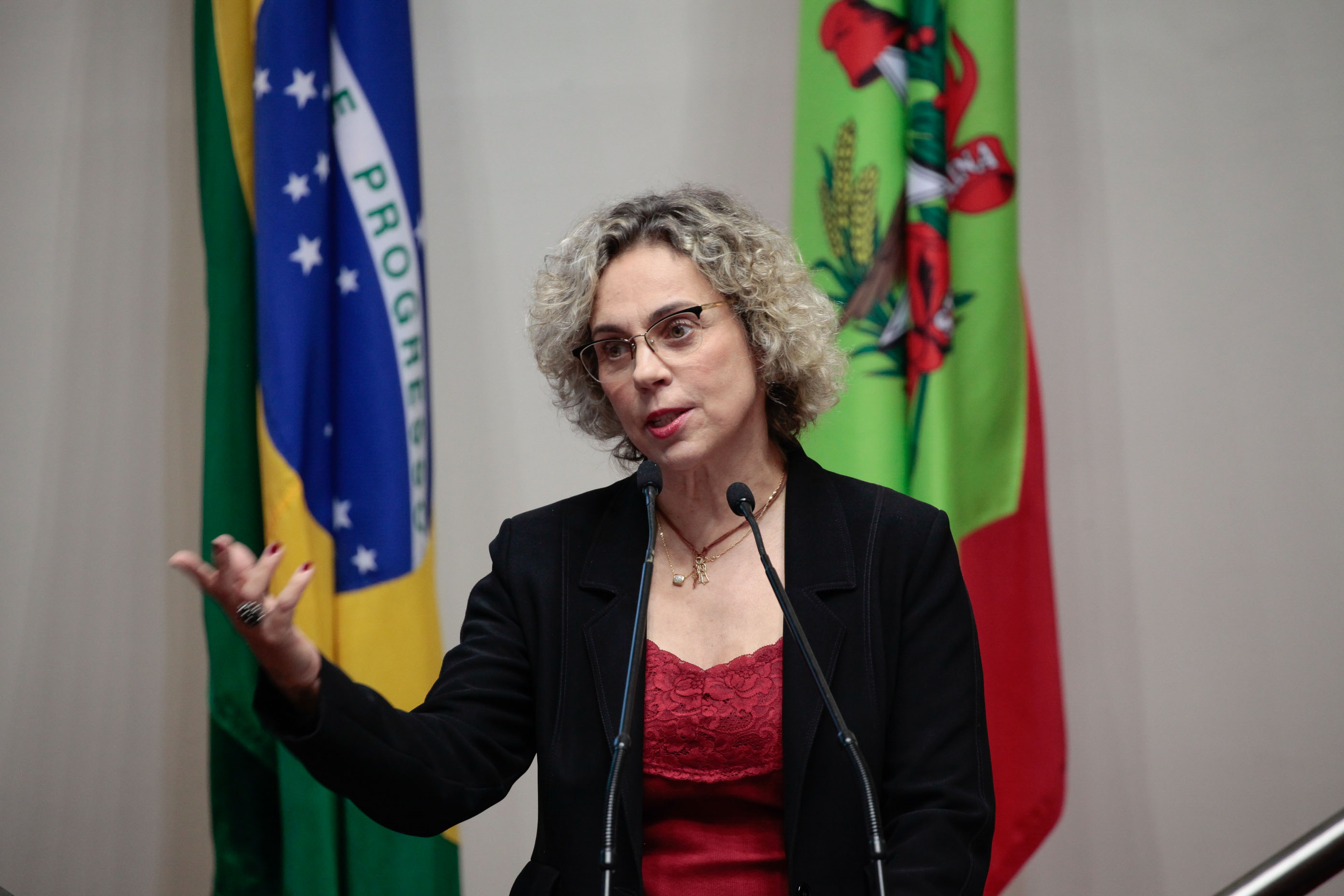 Deputada Ana Paula Lima (PT). Sessão Ordinária.