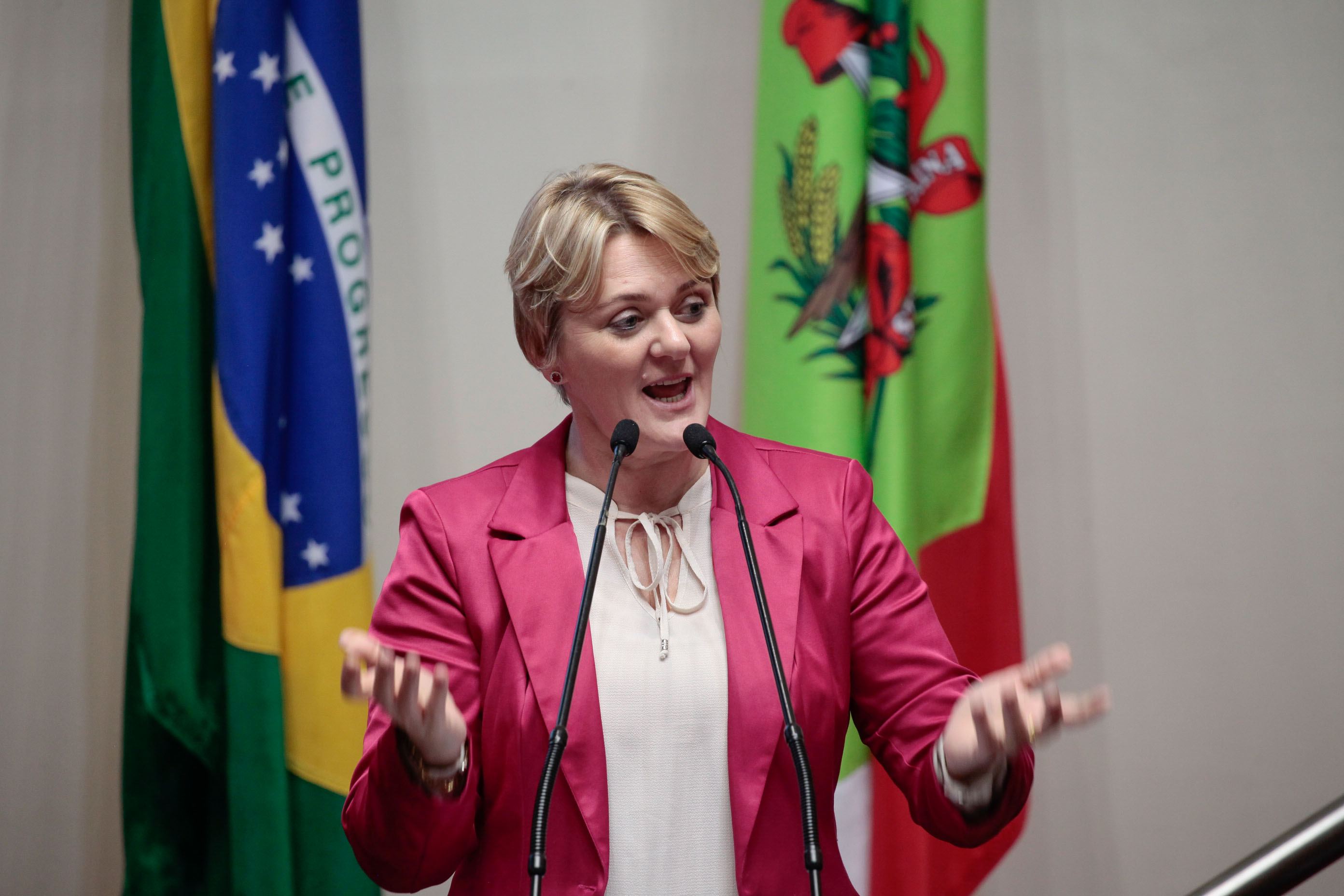 Deputada Luciane Carminatti (PT). Sessão Ordinária.