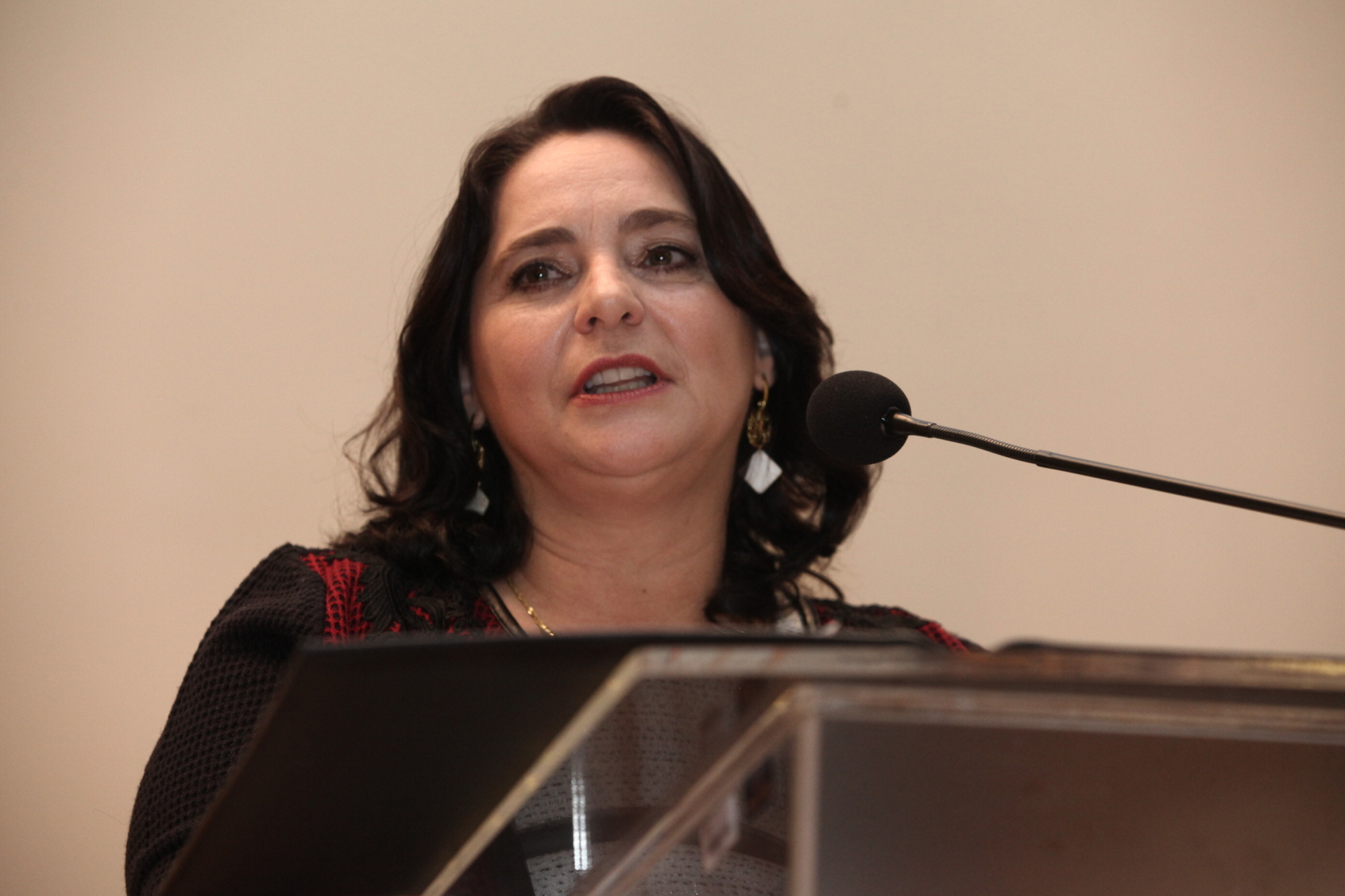 Coordenadora do Neti, Jordelina Schier