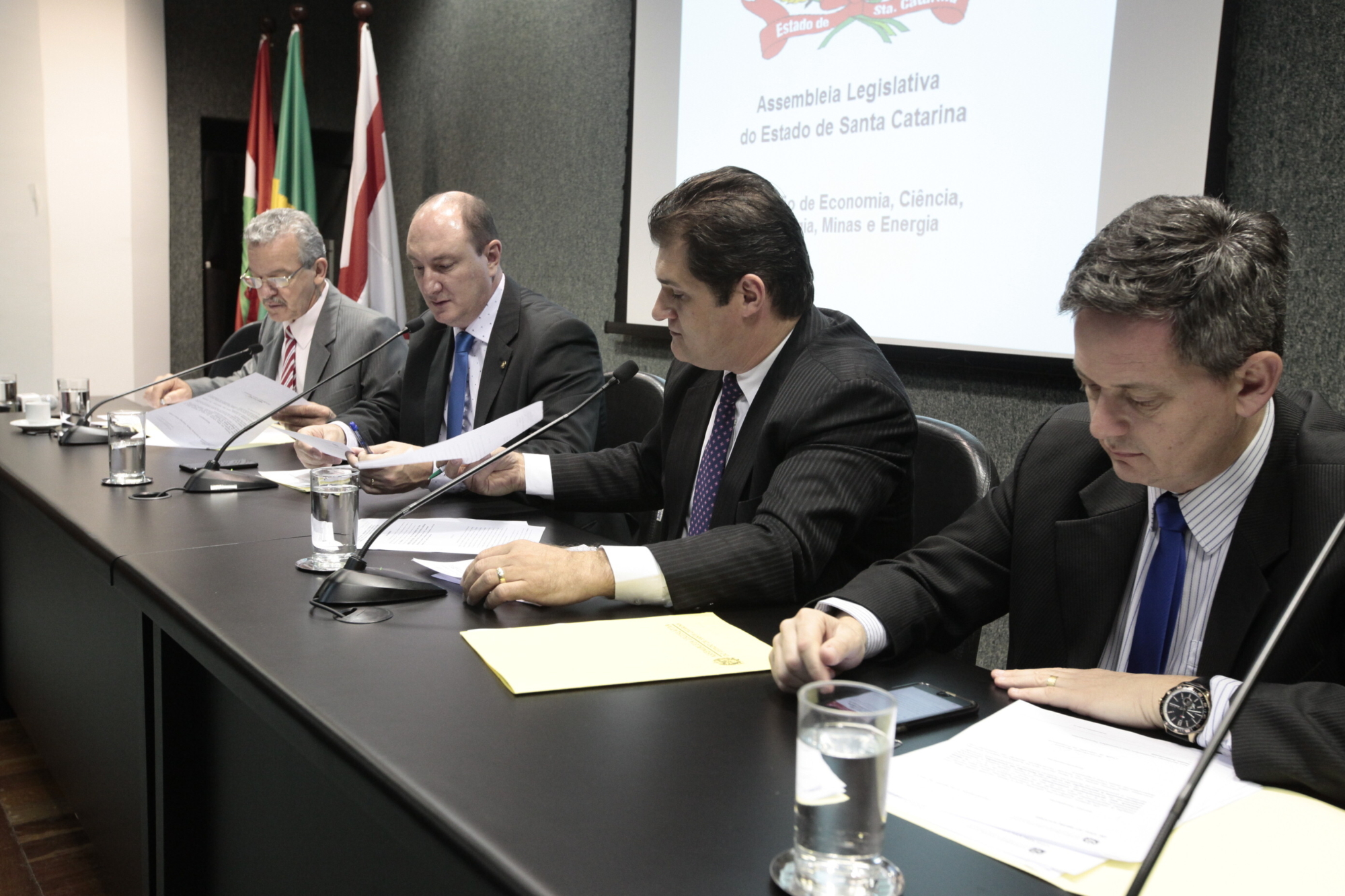 Comissão confirma seminário sobre energias renováveis em novembro