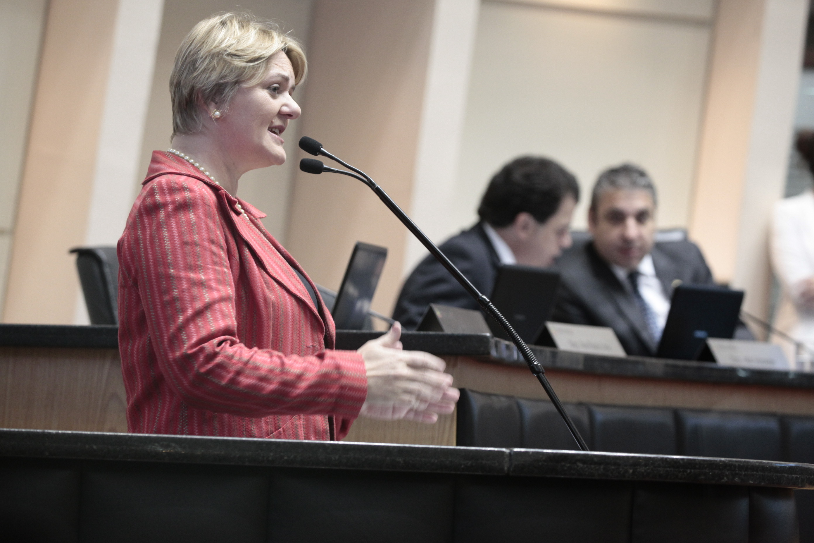 Deputada Luciane Carminatti (PT). Sessão Ordinária.