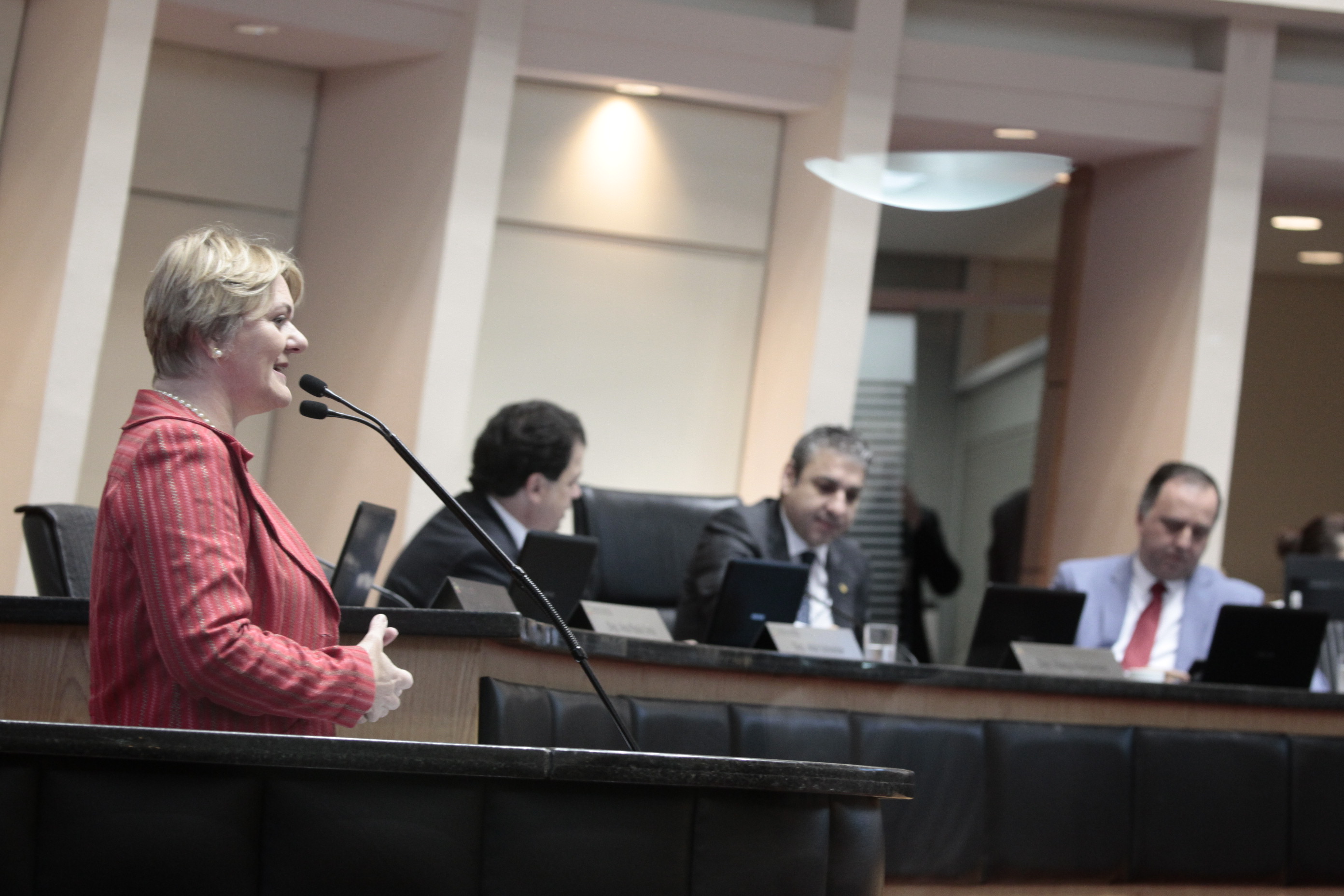 Deputada Luciane Carminatti (PT). Sessão Ordinária.
