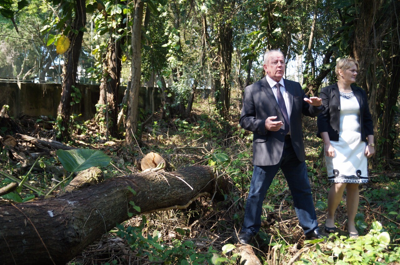Comissão investiga desmatamento em bosque da Casa d’Agronômica