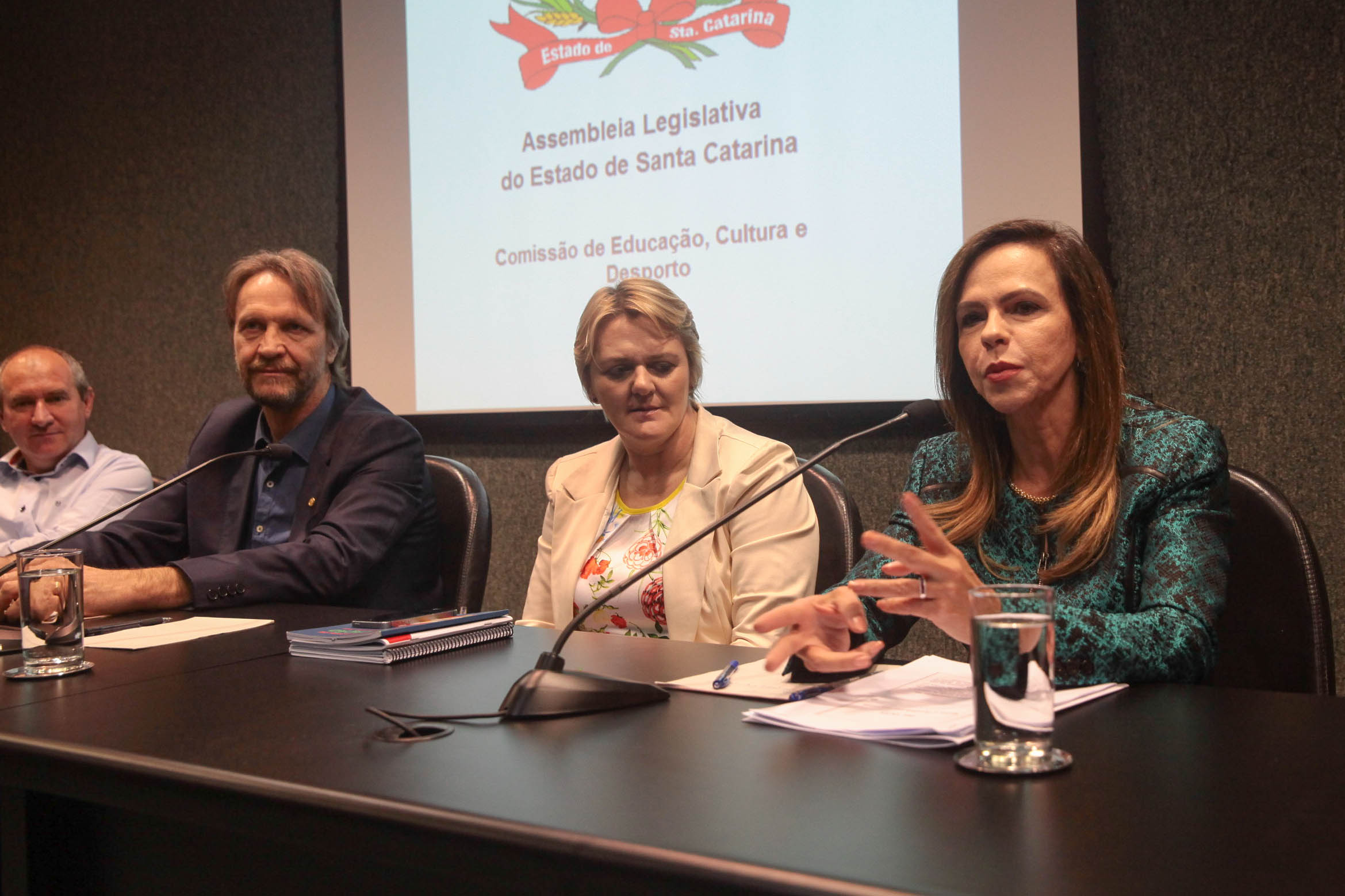 Audiência Pública sobre o Transporte Escolar.