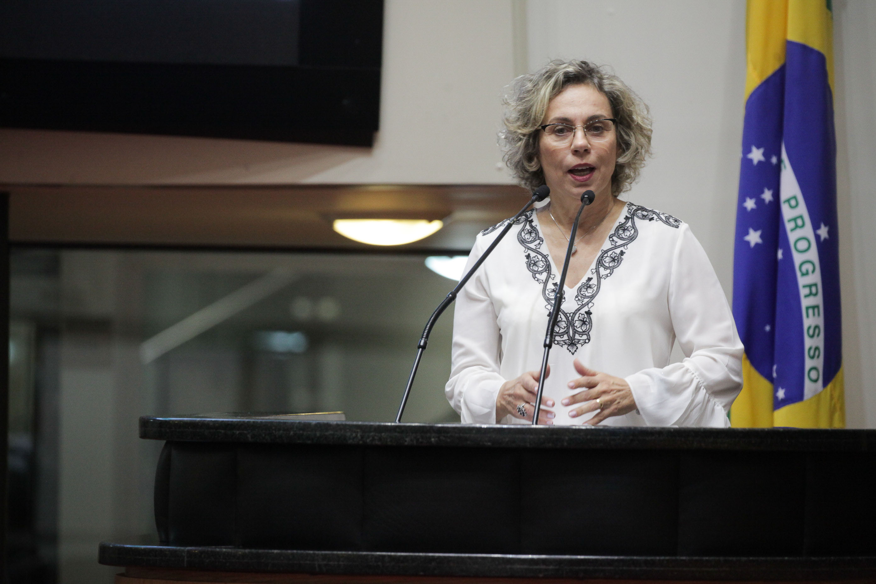 Deputado Ana Paula Lima (PT). Sessão Ordinária.