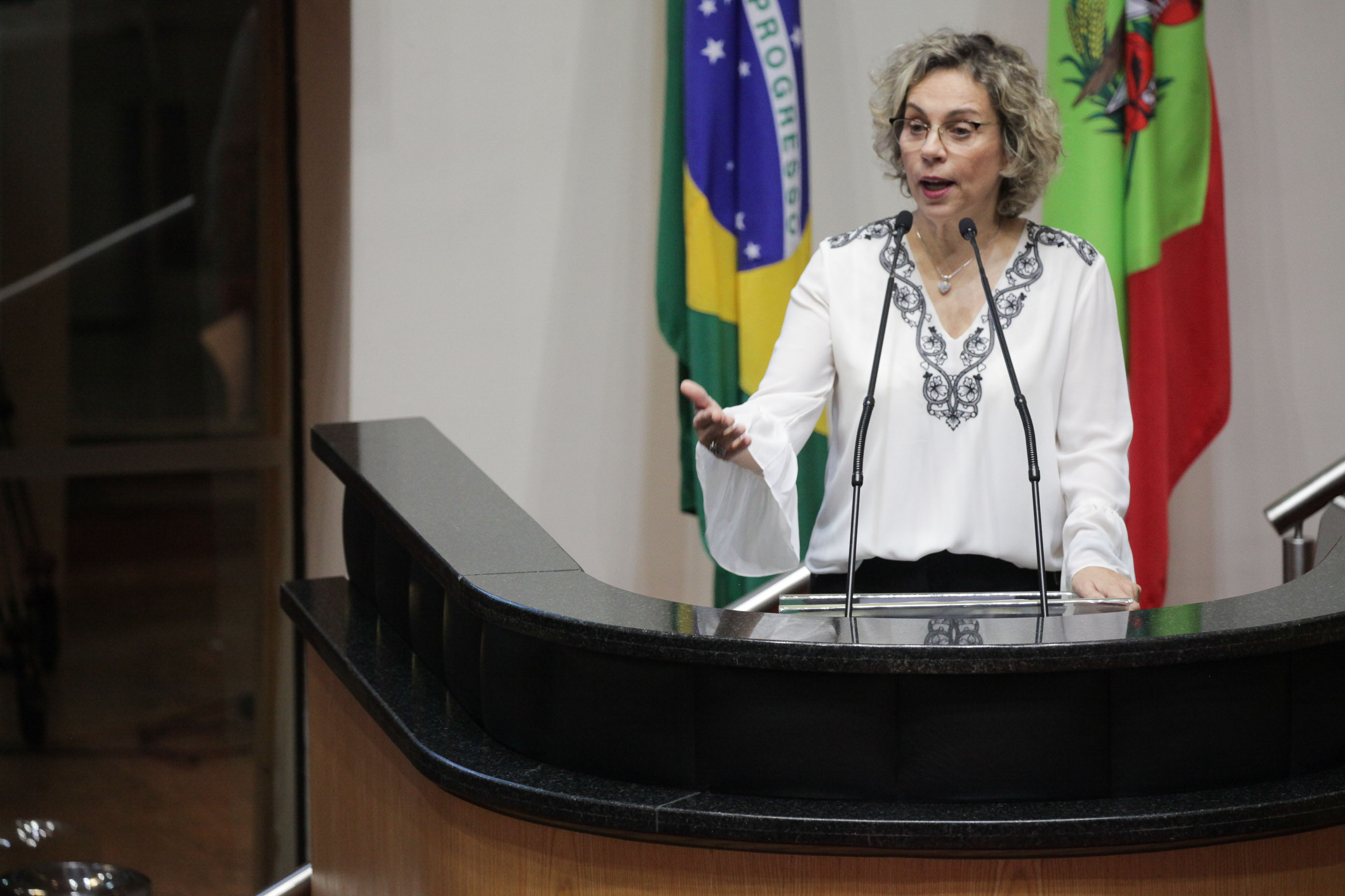 Deputado Ana Paula Lima (PT). Sessão Ordinária.