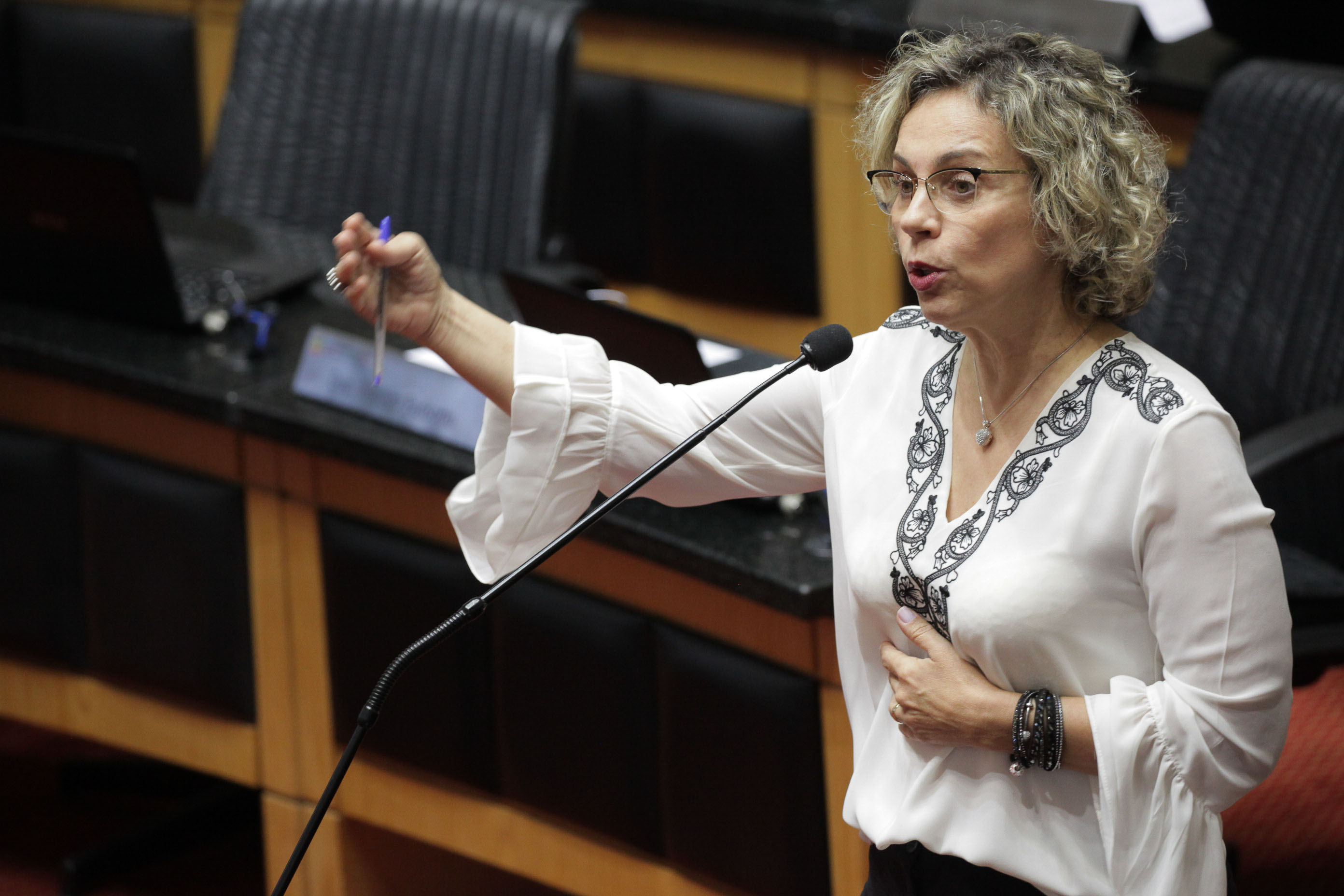 Deputado Ana Paula Lima (PT). Sessão Ordinária.