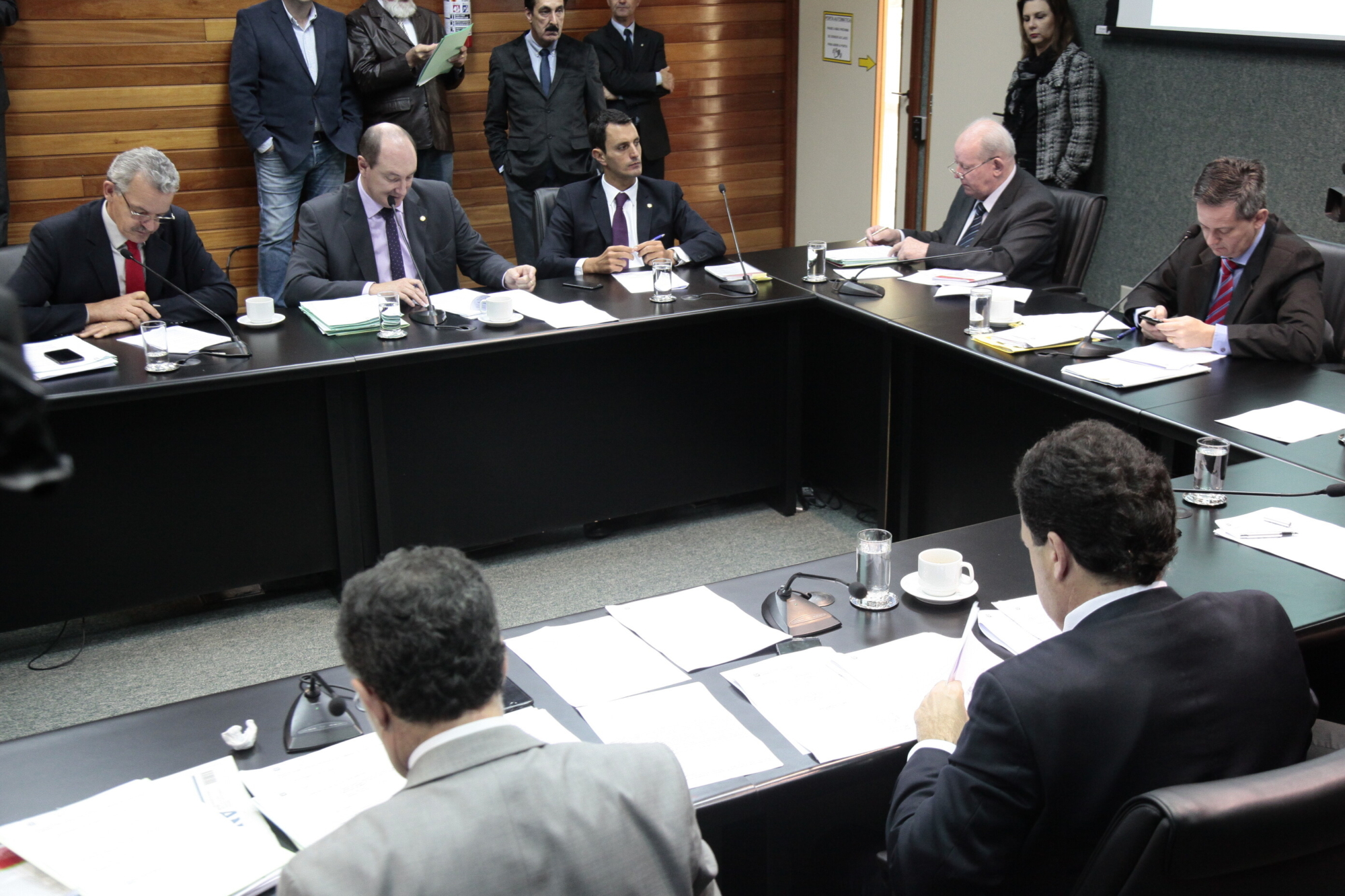 Projeto aprovado na CCJ define maus-tratos aos animais
