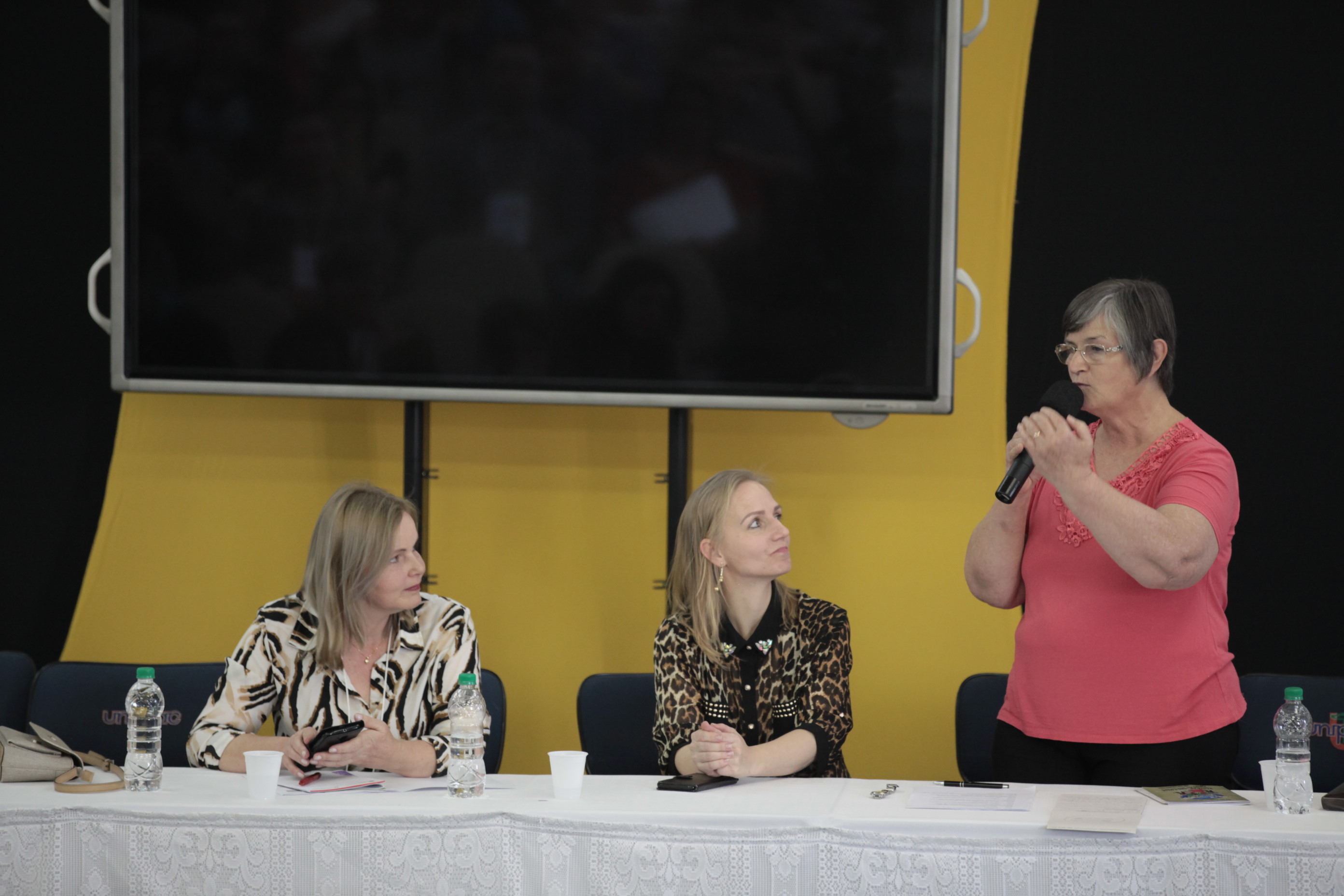 Pelo fim da violência Doméstica contra a Mulher - Lages