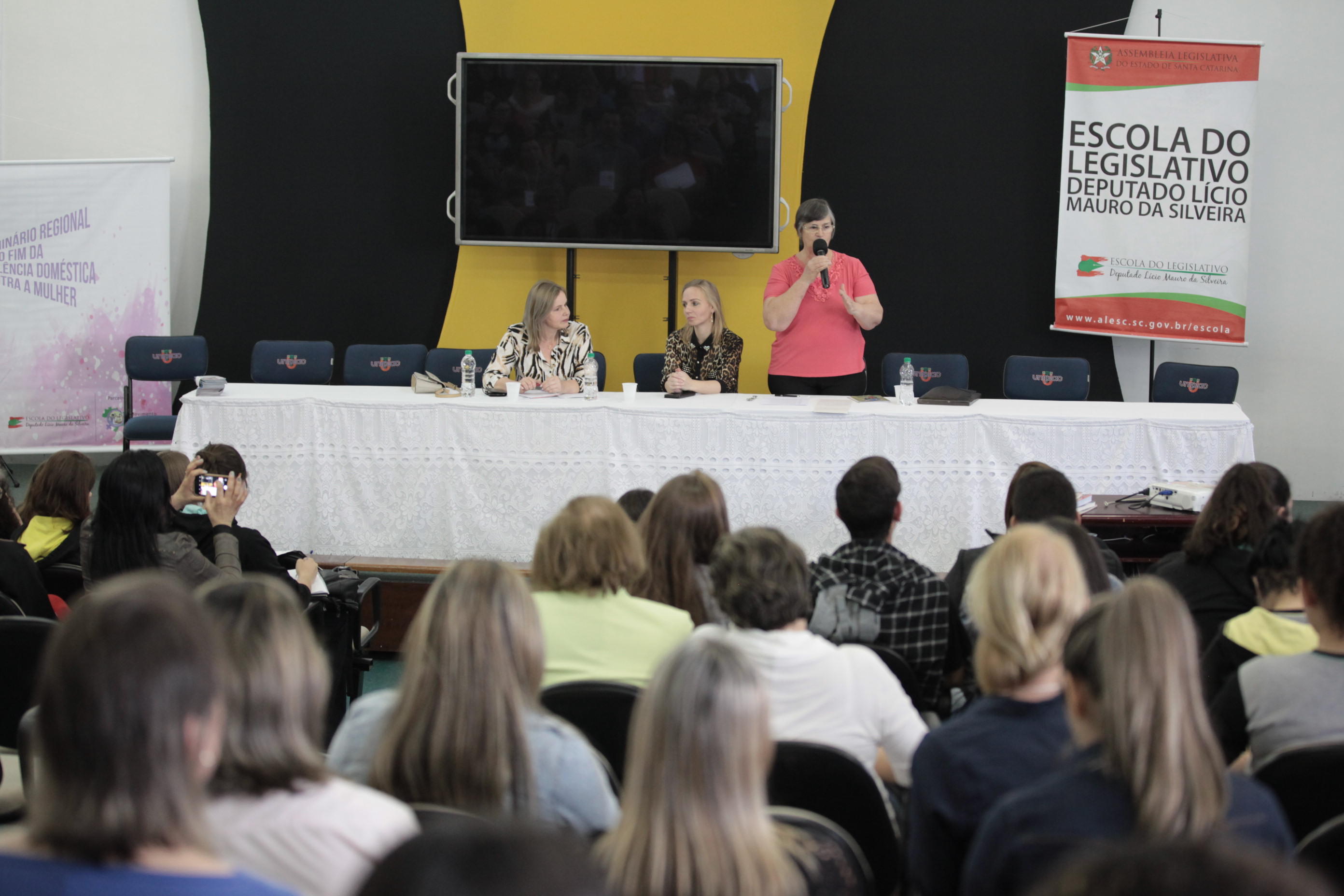 Pelo fim da violência Doméstica contra a Mulher - Lages
