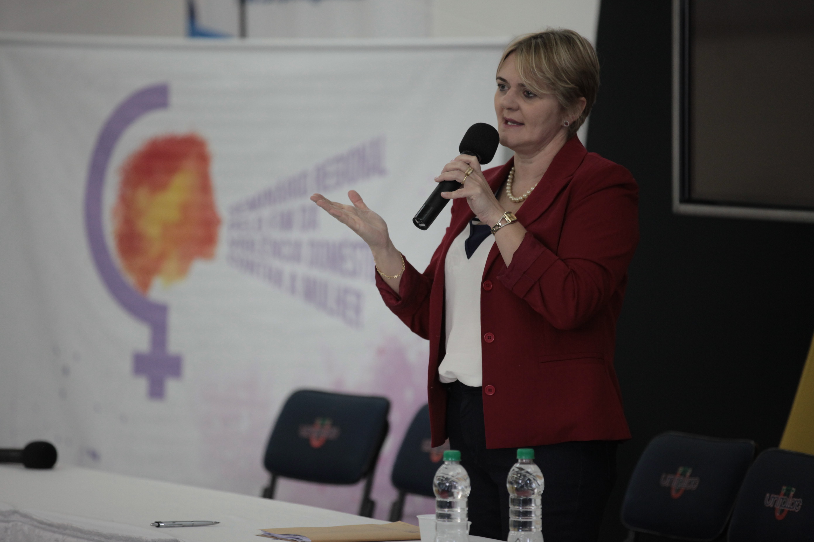 Pelo fim da violência Doméstica contra a Mulher - Lages