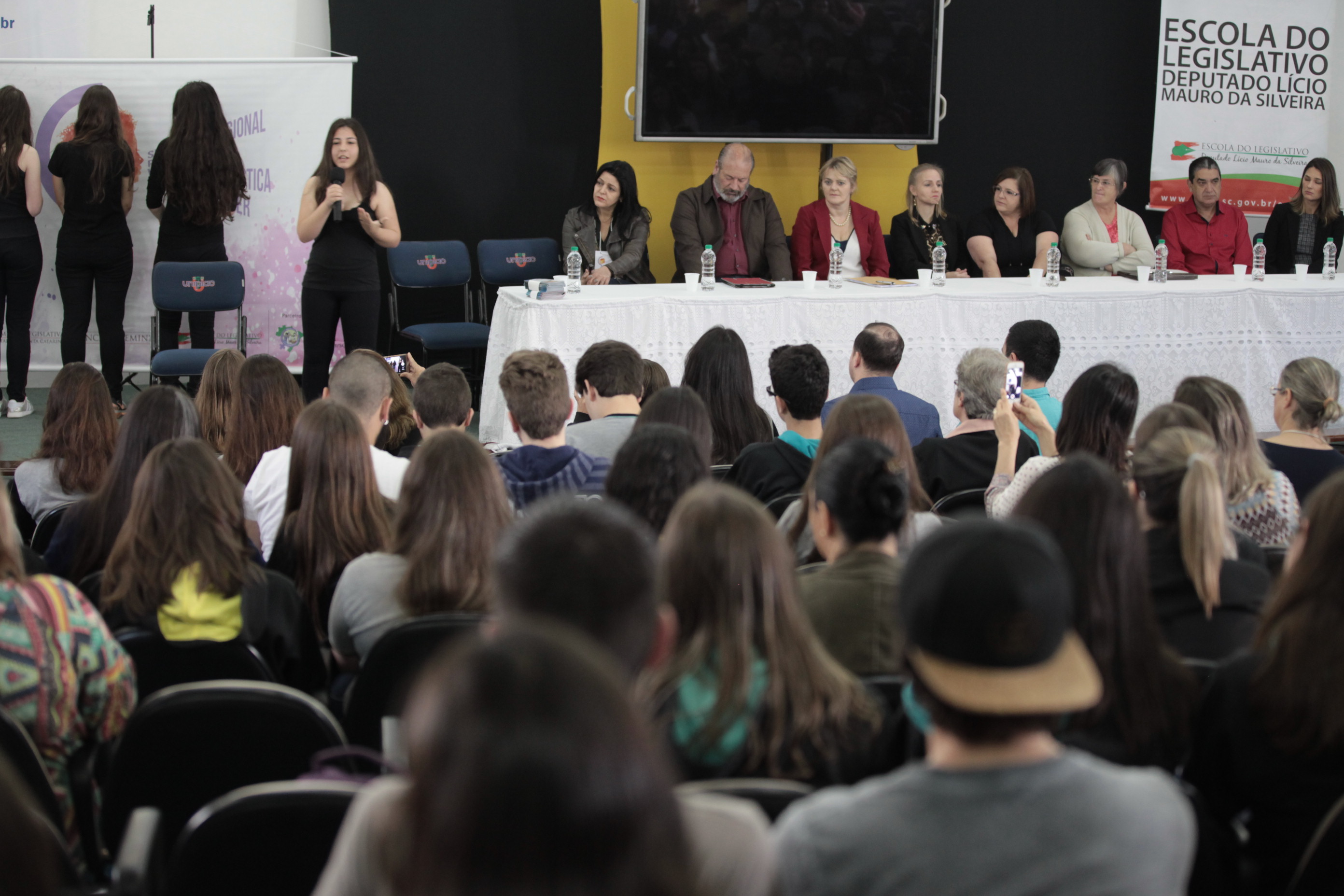 Pelo fim da violência Doméstica contra a Mulher - Lages