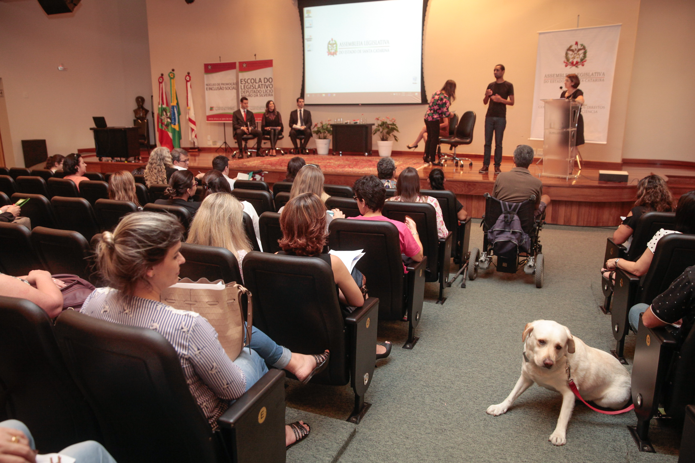 Seminário Inclusão da Pessoa com Deficiência