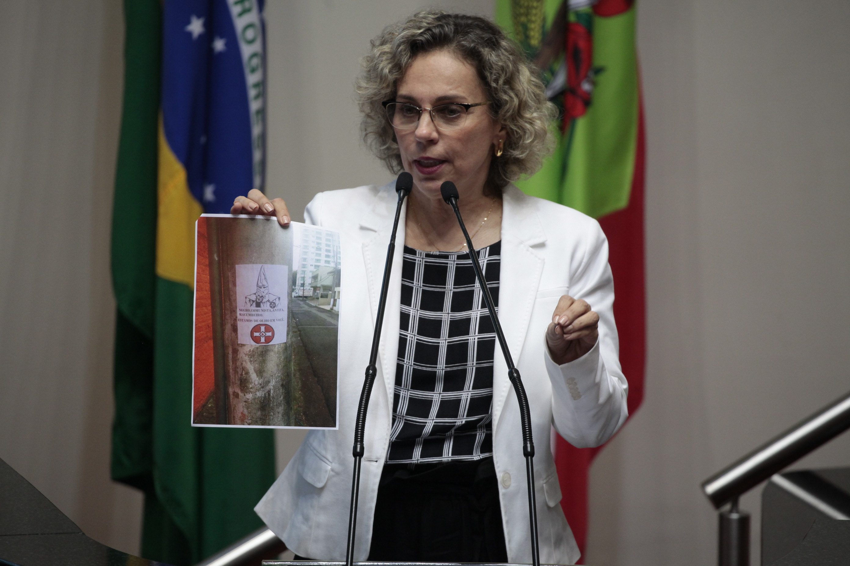 Deputada Ana Paula Lima (PT). Sessão Ordinária.