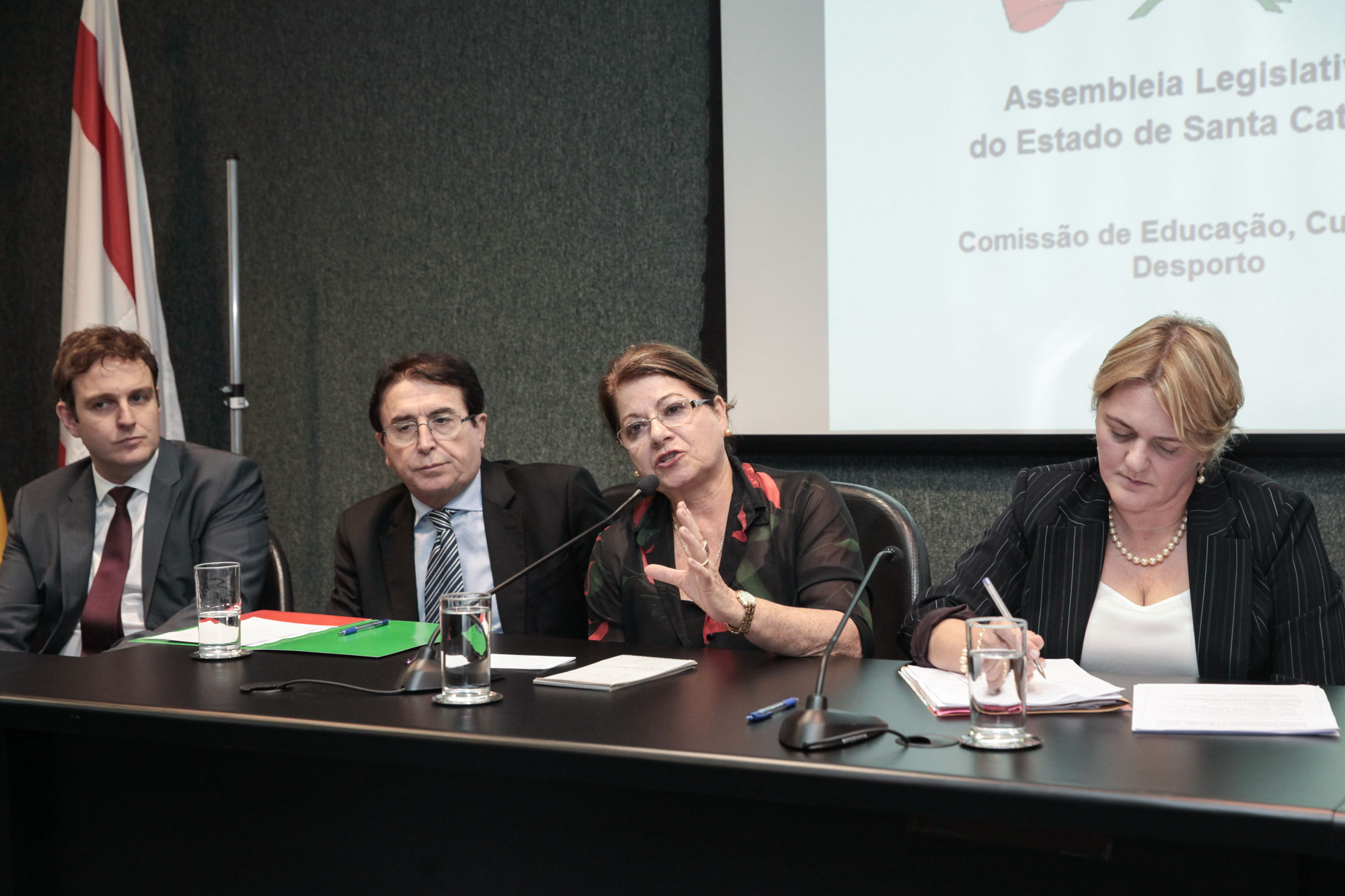 Comissão de Educação Cultura e Desporto.